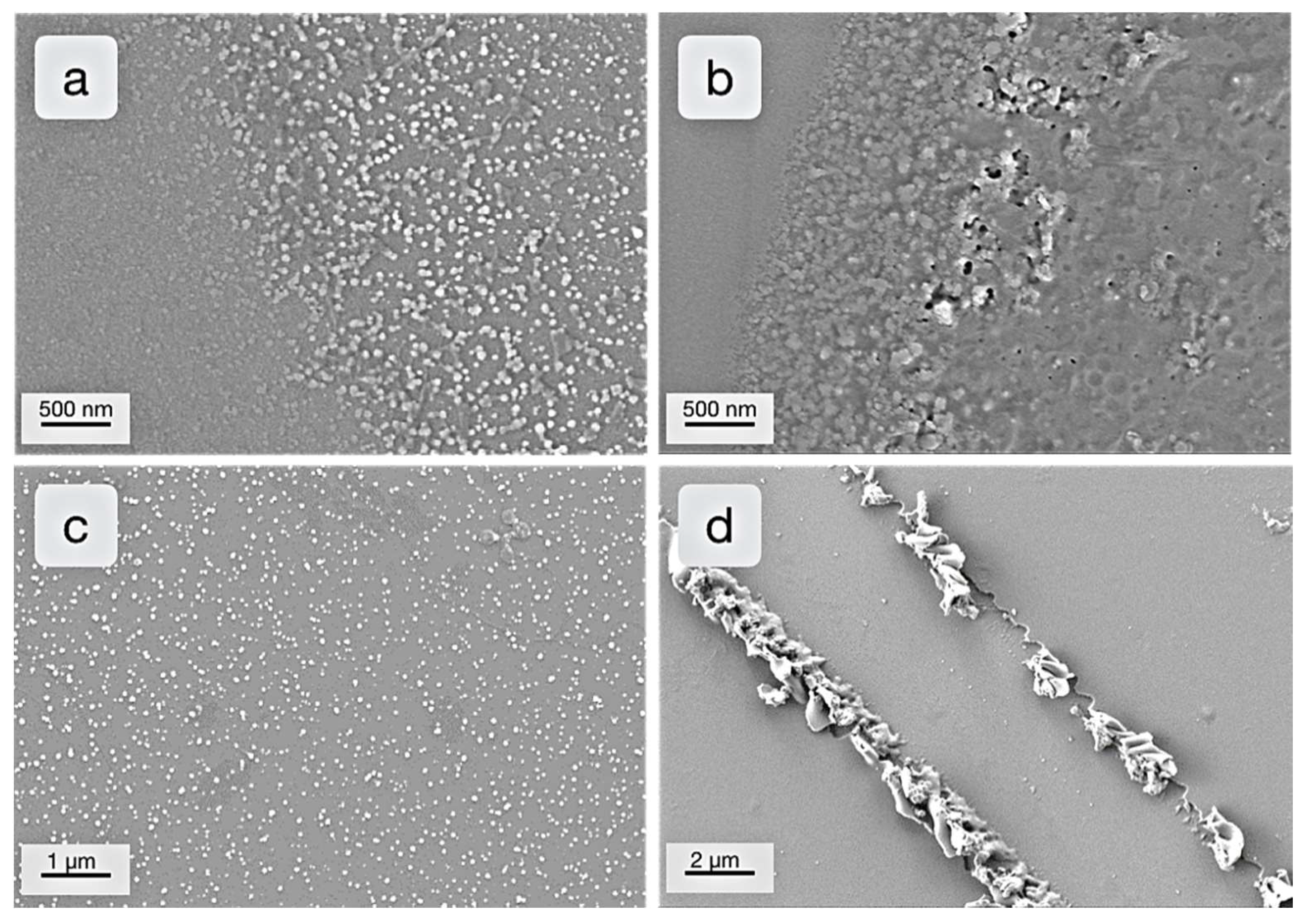Catalysts 09 00354 g008