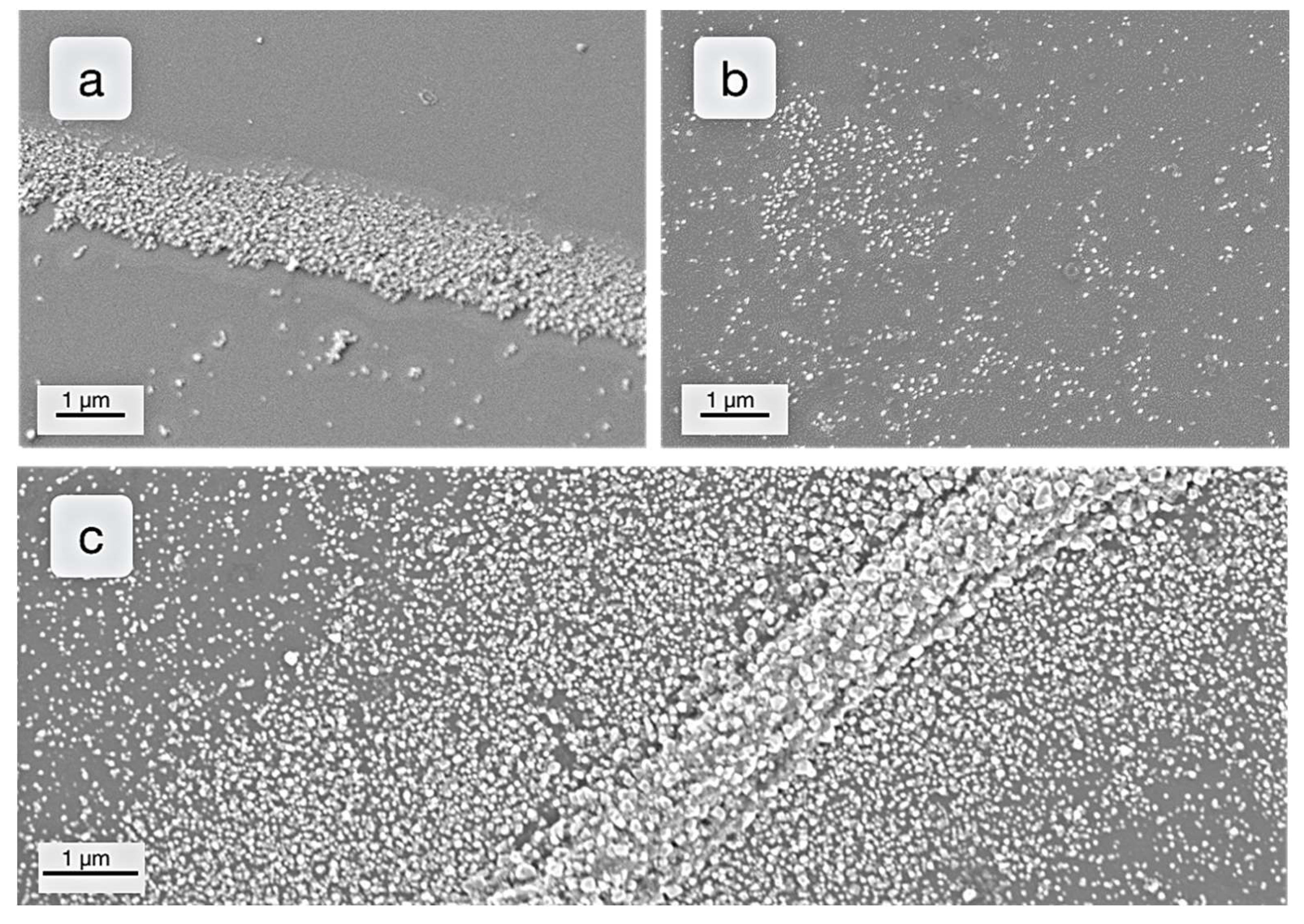 Catalysts 09 00354 g009