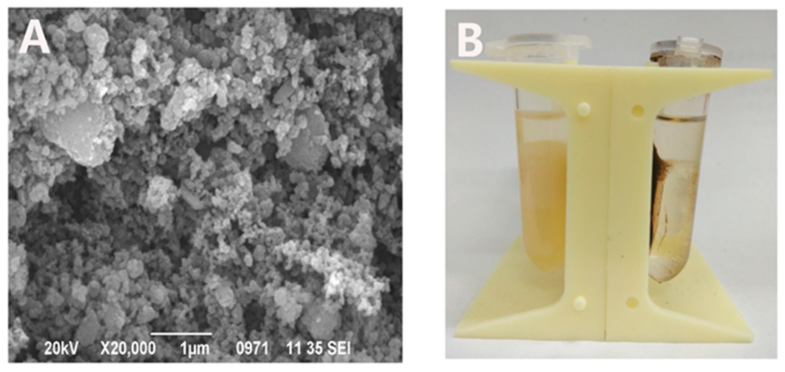 Catalysts 09 00361 g001
