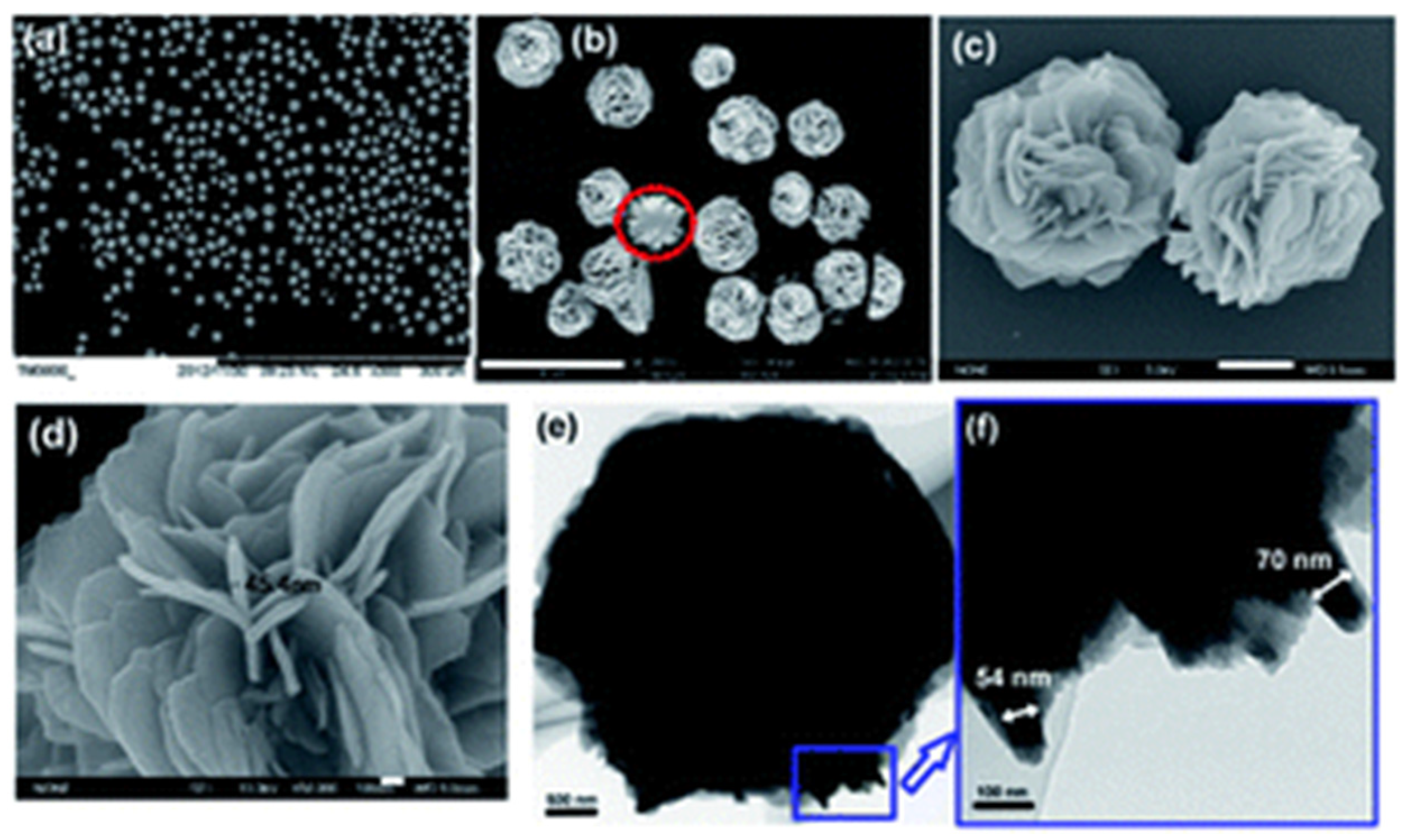 Catalysts 09 00370 g002