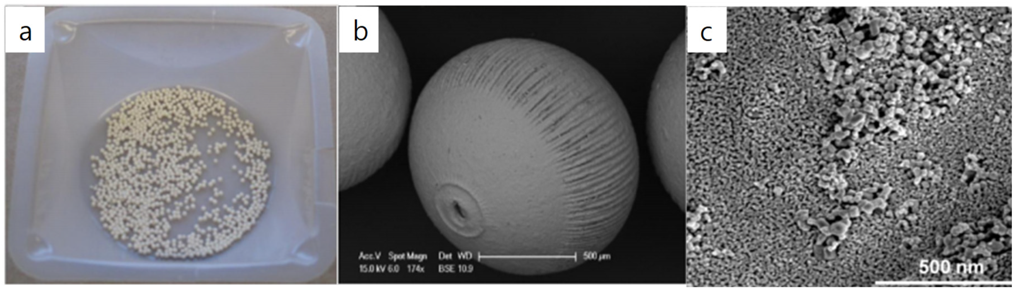 Catalysts 09 00370 g004