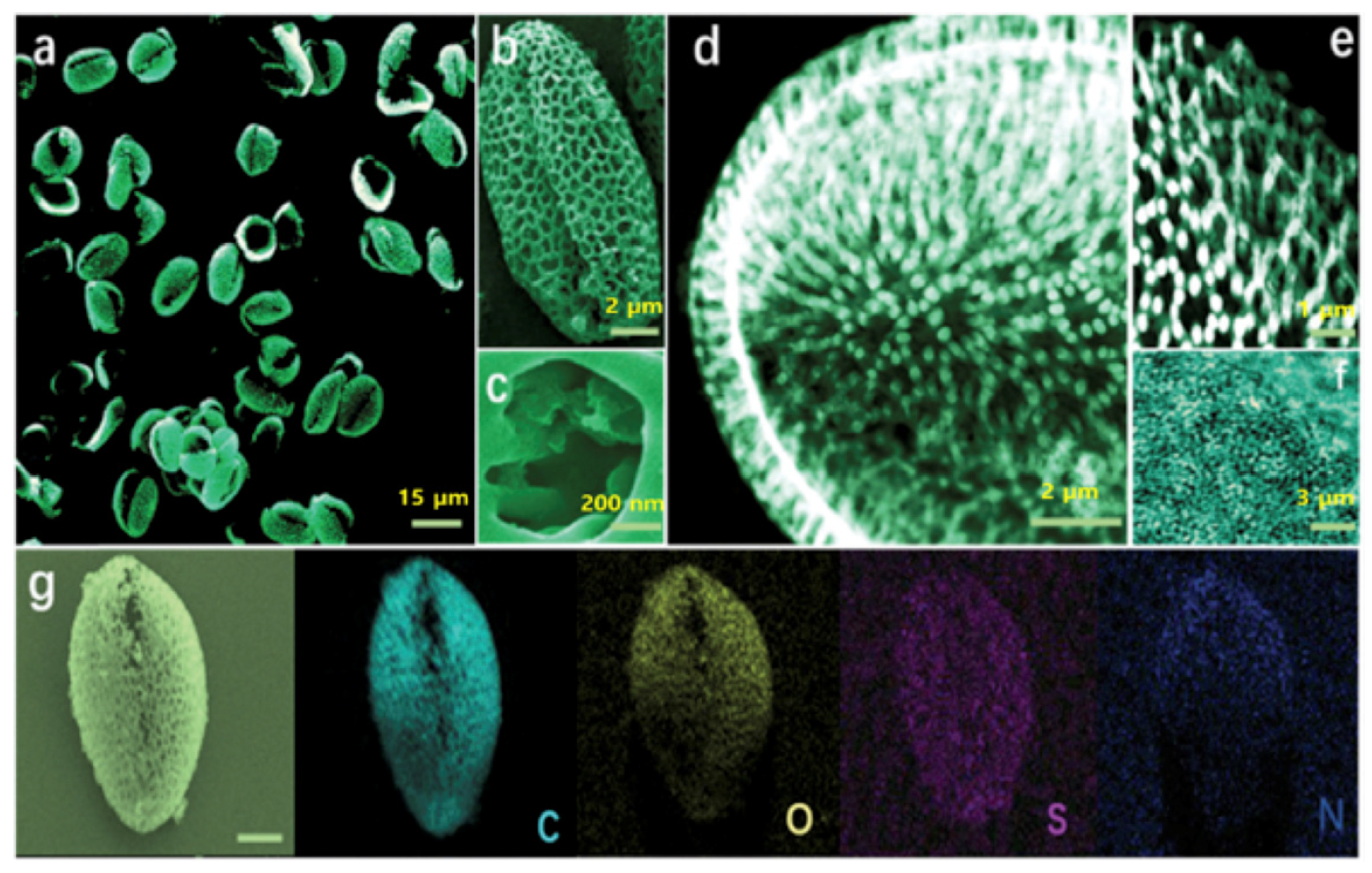 Catalysts 09 00370 g016