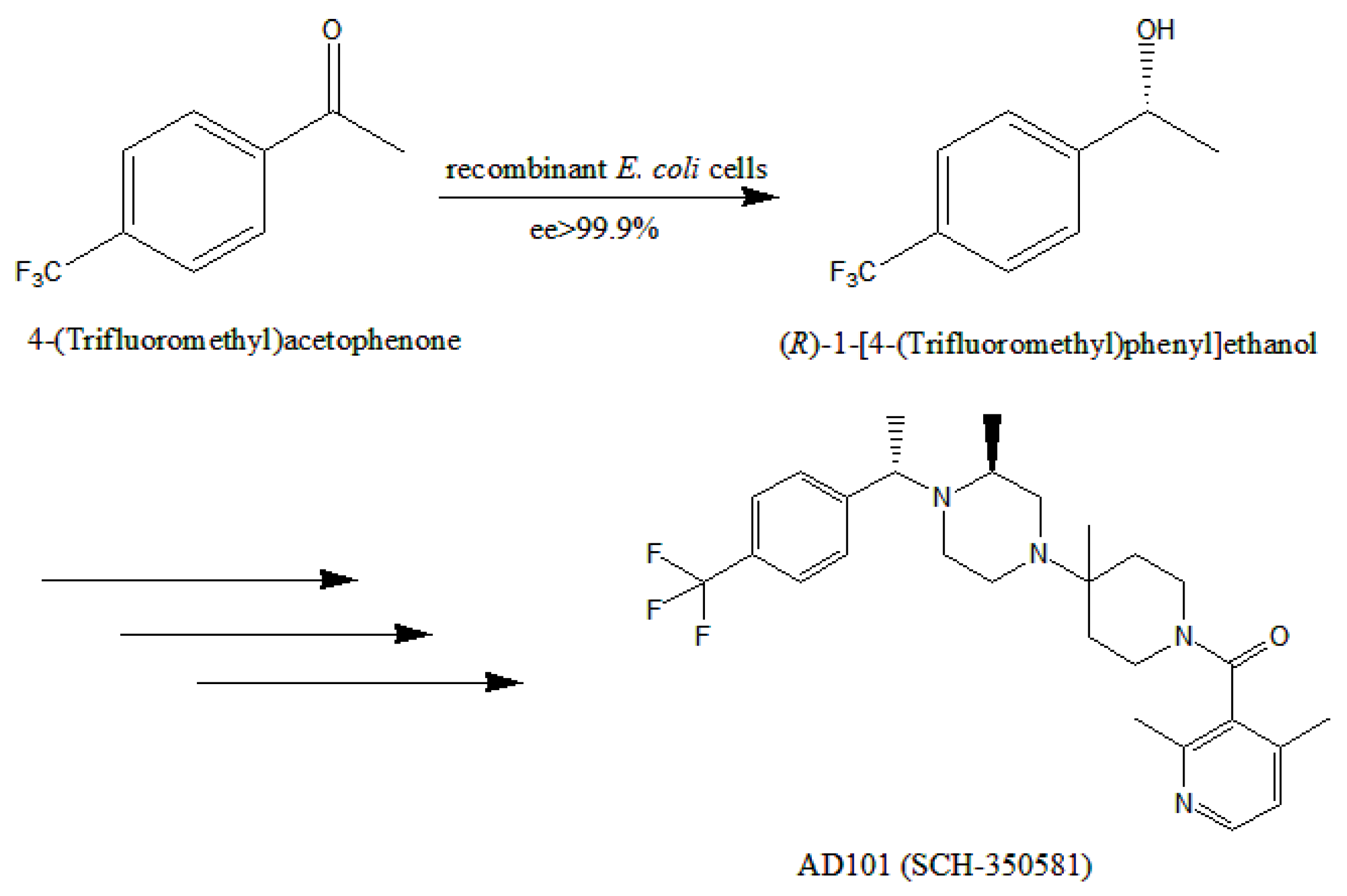 Catalysts 09 00391 g001