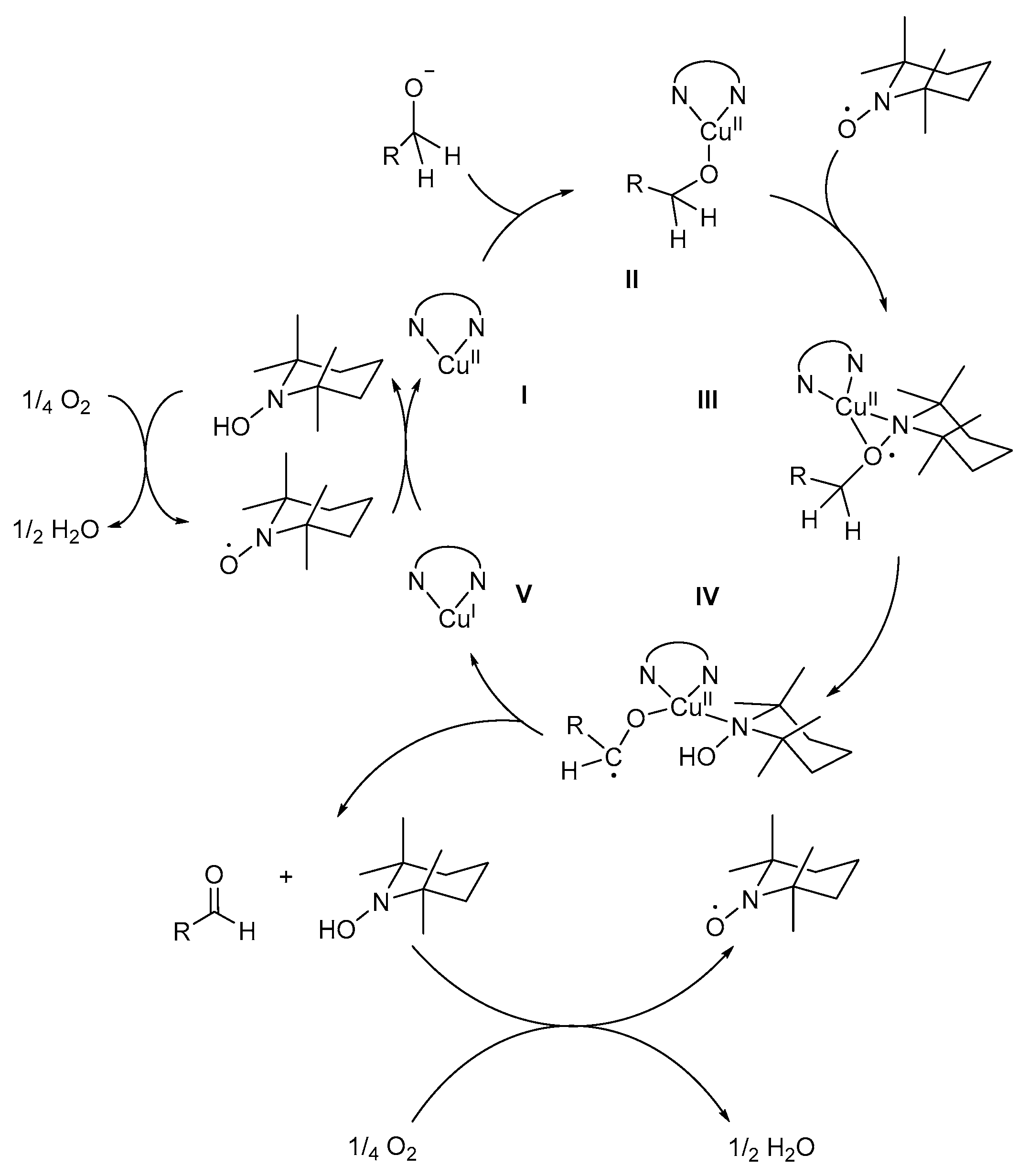 Catalysts 09 00395 sch015 Catalysts 09 00395 sch015
