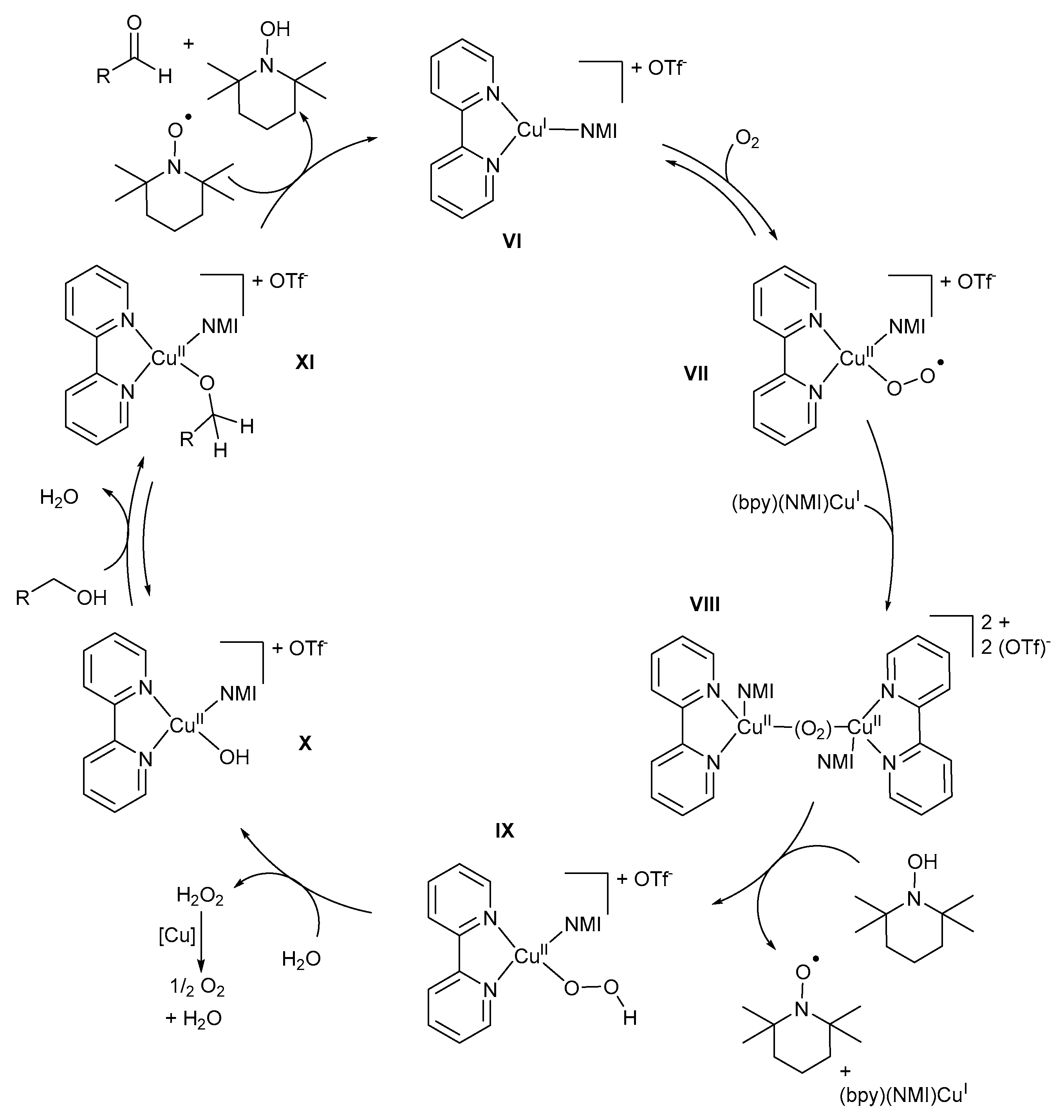 Catalysts 09 00395 sch018 Catalysts 09 00395 sch018
