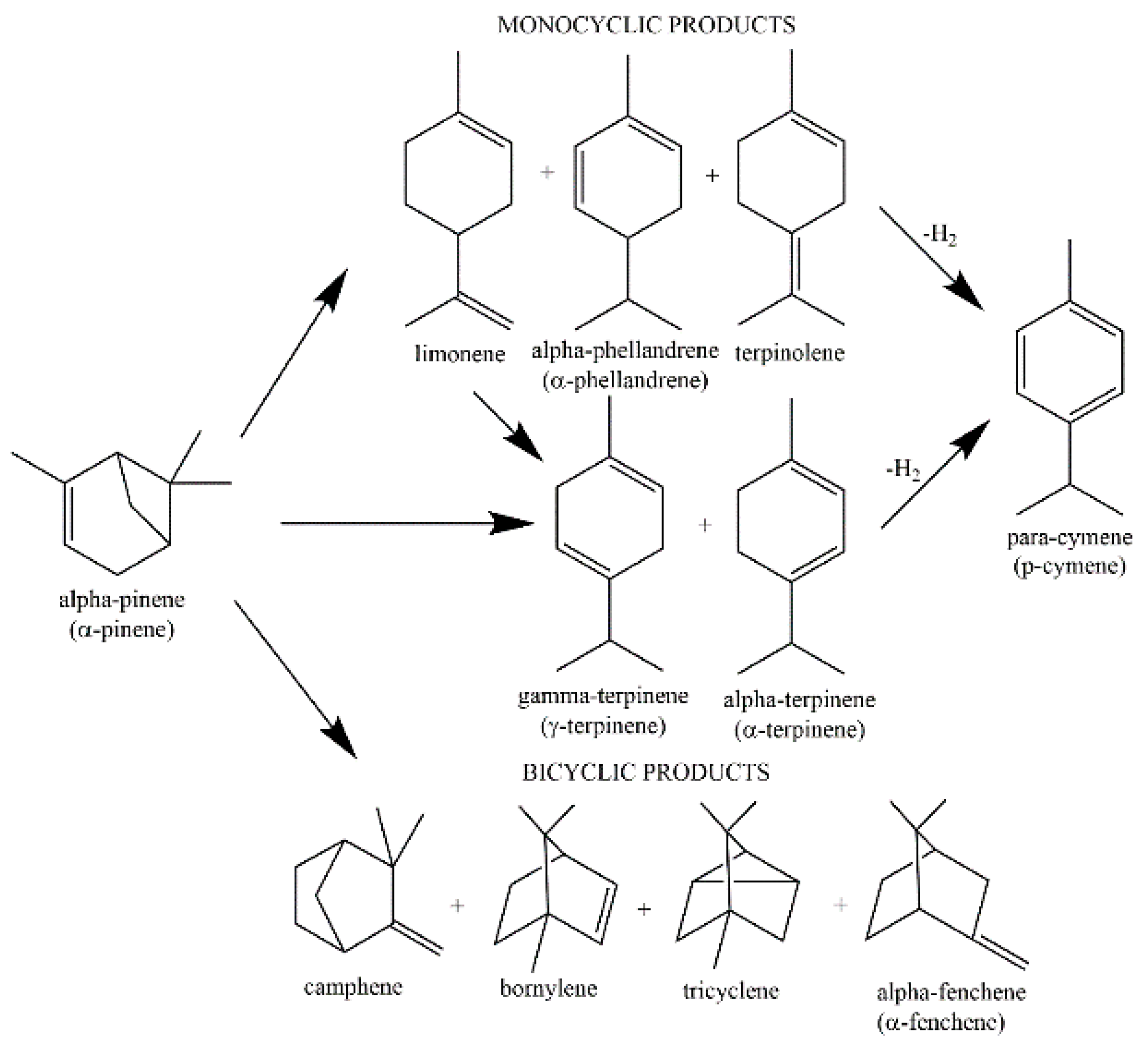 Catalysts 09 00396 g001