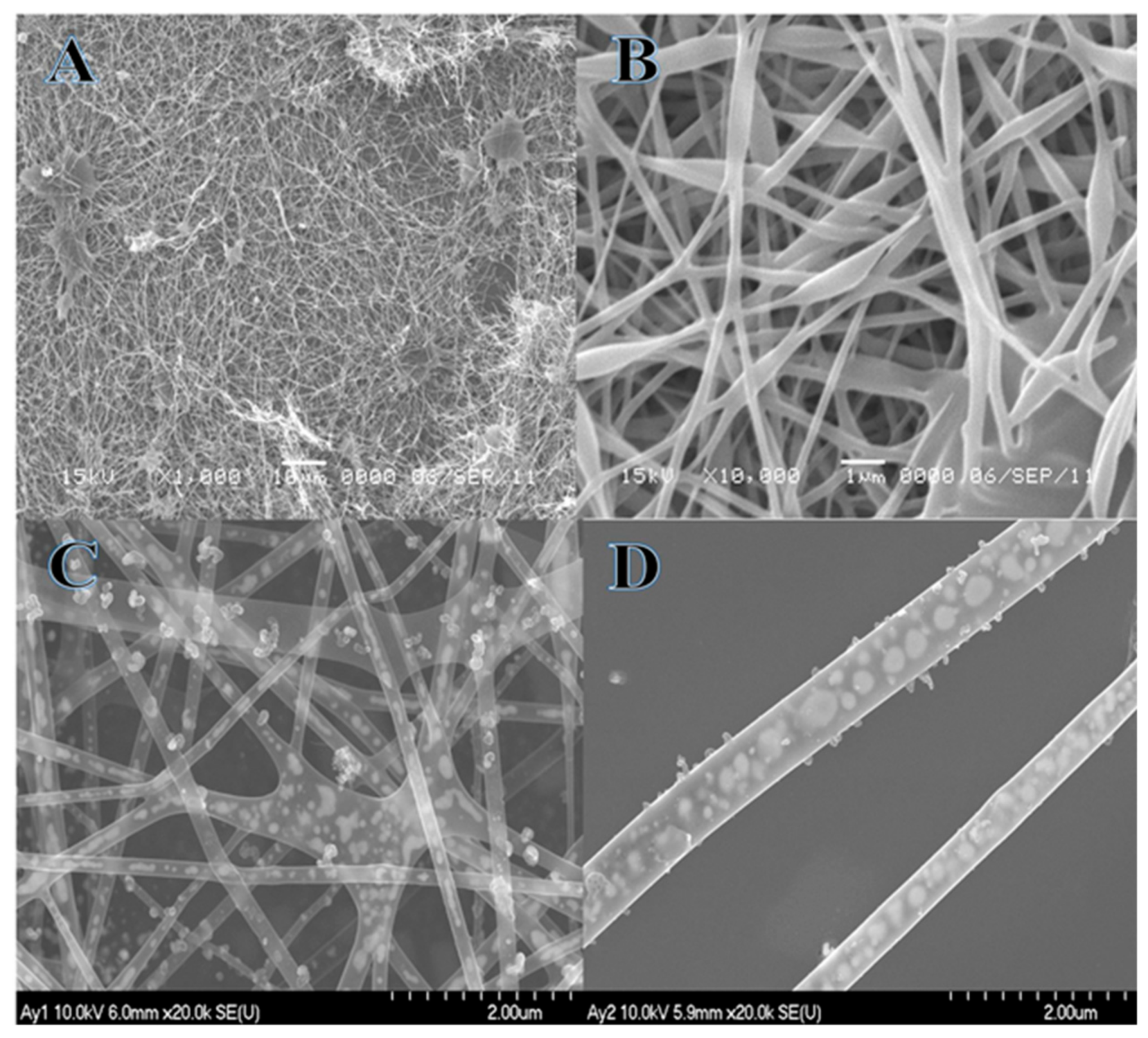 Catalysts 09 00397 g001 Catalysts 09 00397 g001