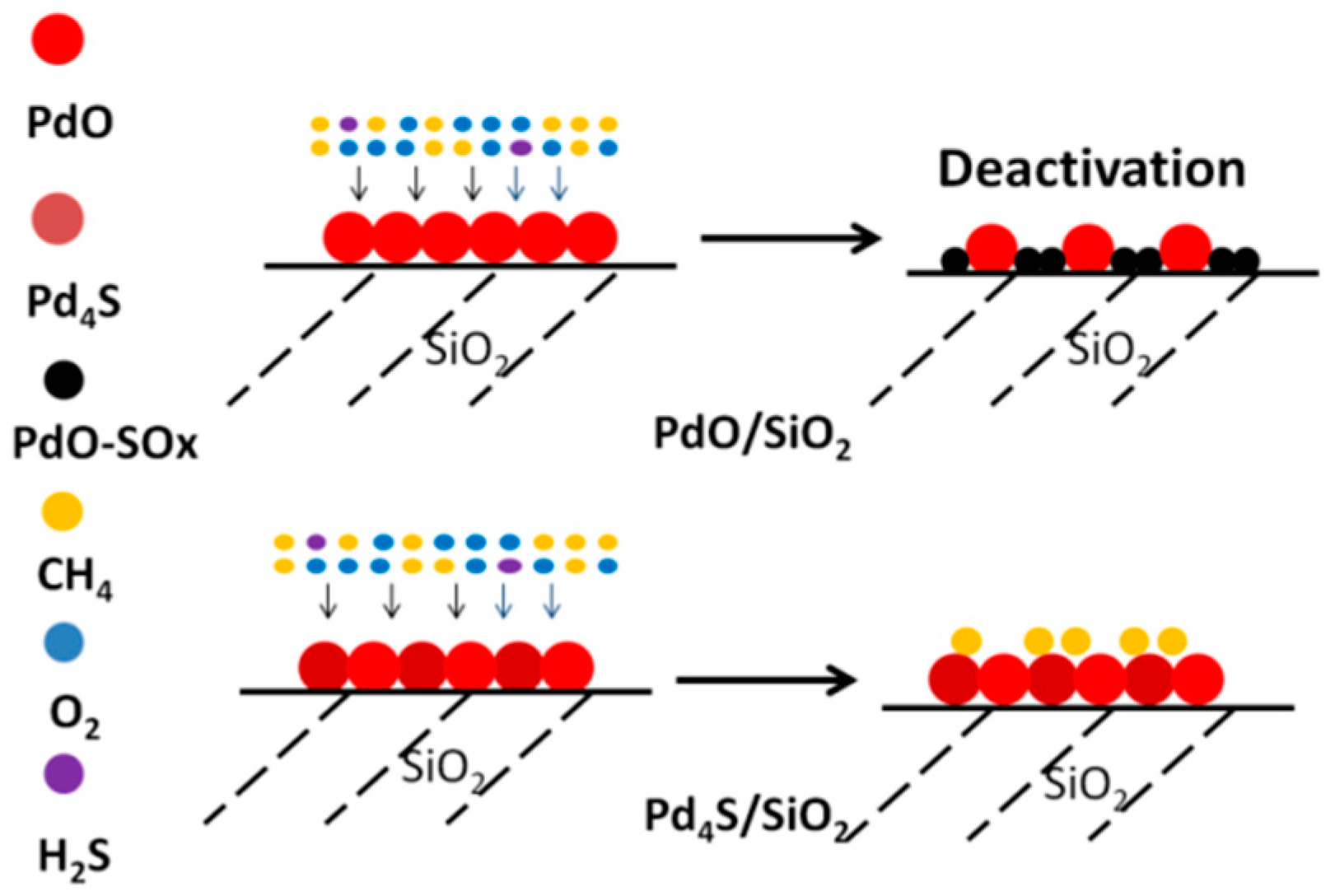 Catalysts 09 00410 sch001