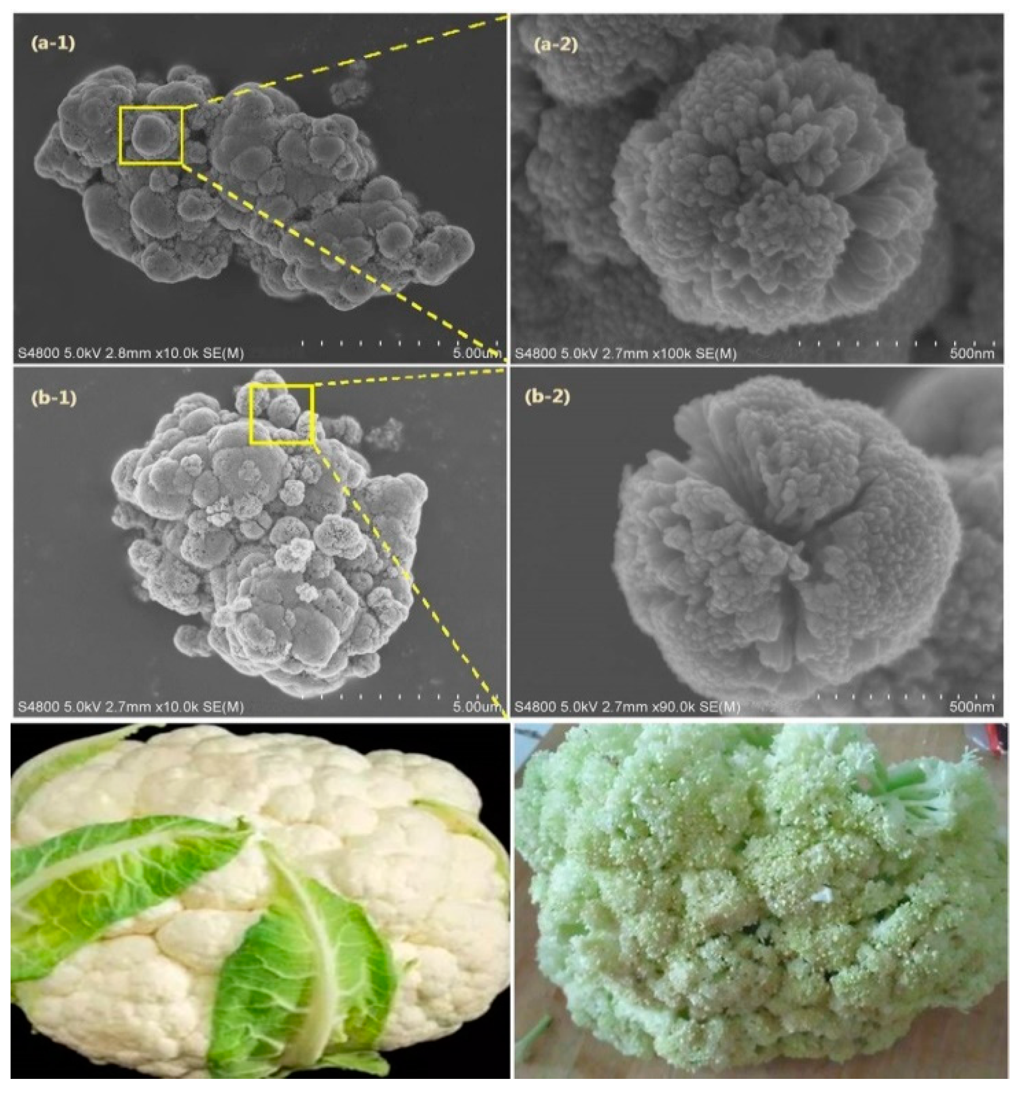 Catalysts 09 00426 g005 Catalysts 09 00426 g005
