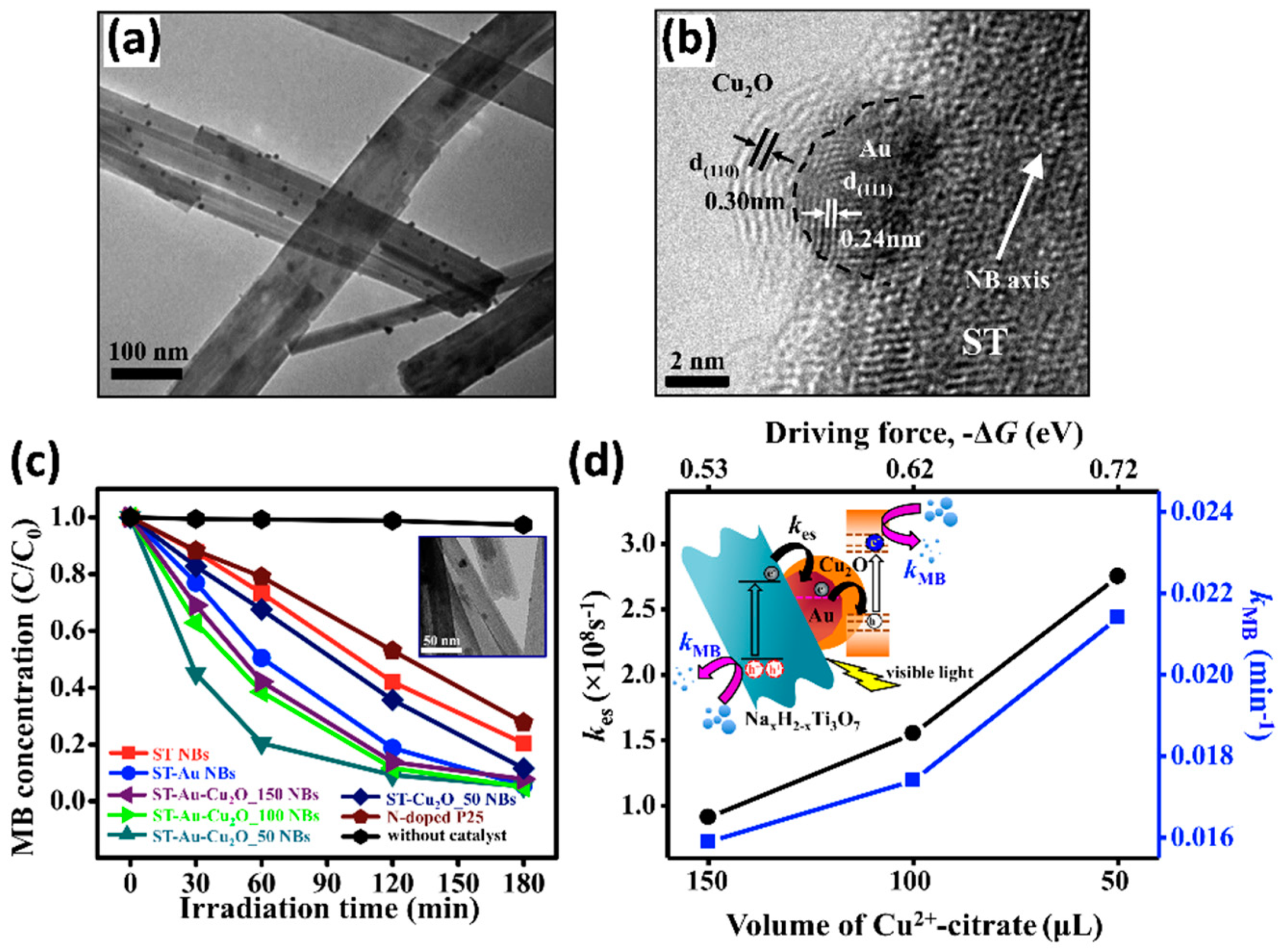 Catalysts 09 00430 g014