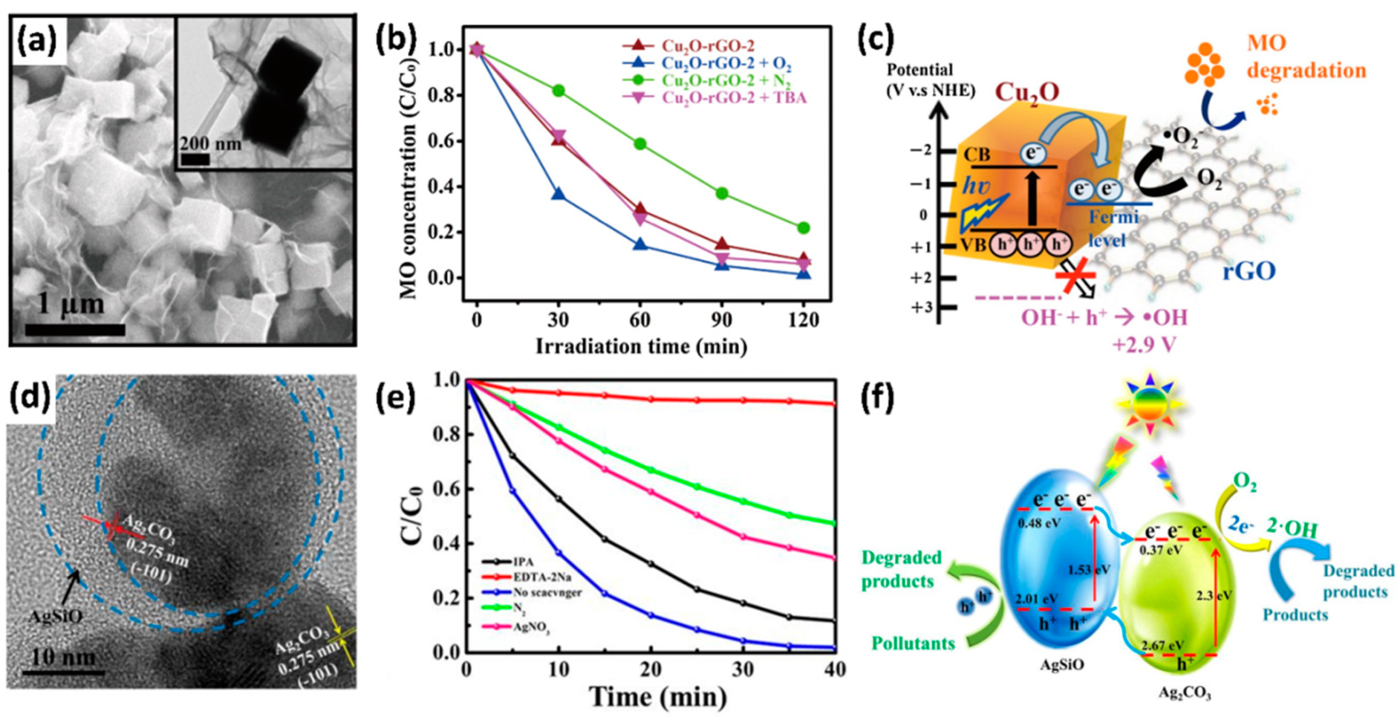 Catalysts 09 00430 g016