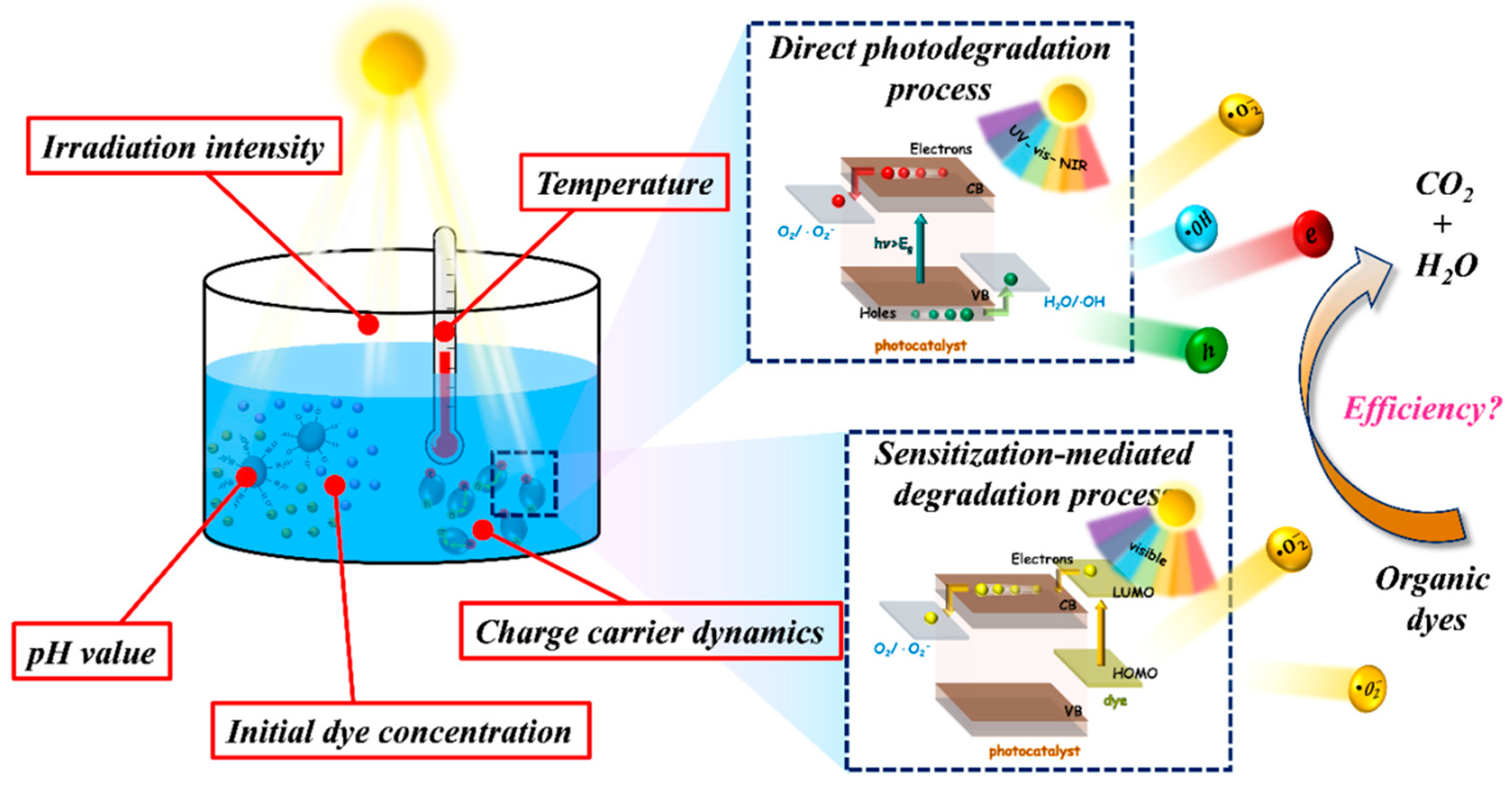 Catalysts 09 00430 sch001