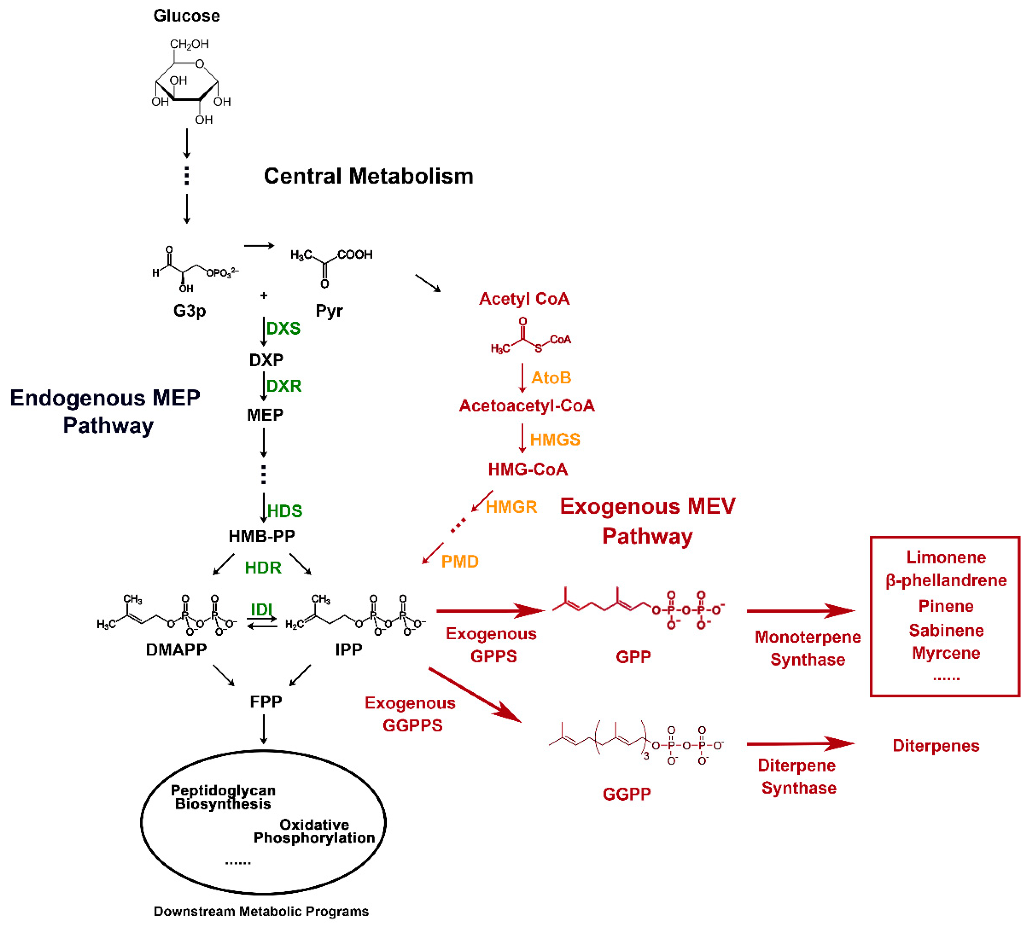 Catalysts 09 00433 g001