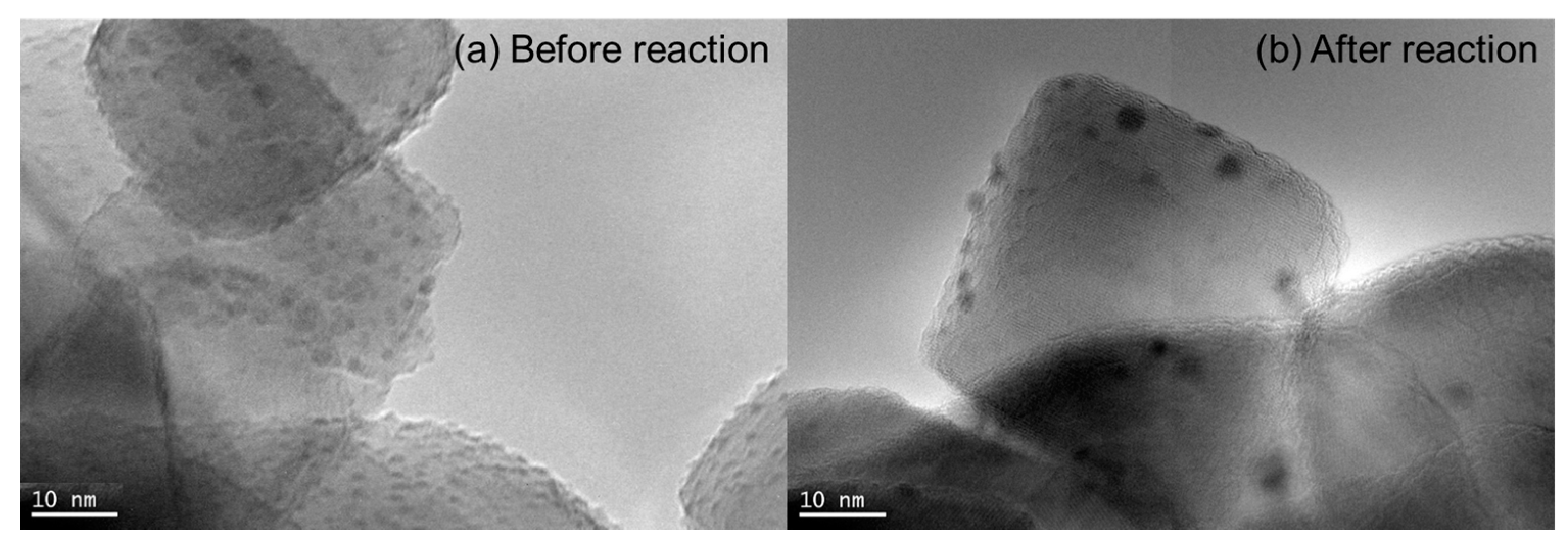 Catalysts 09 00461 g003