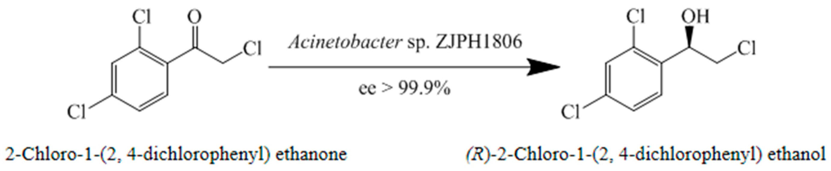 Catalysts 09 00462 g002