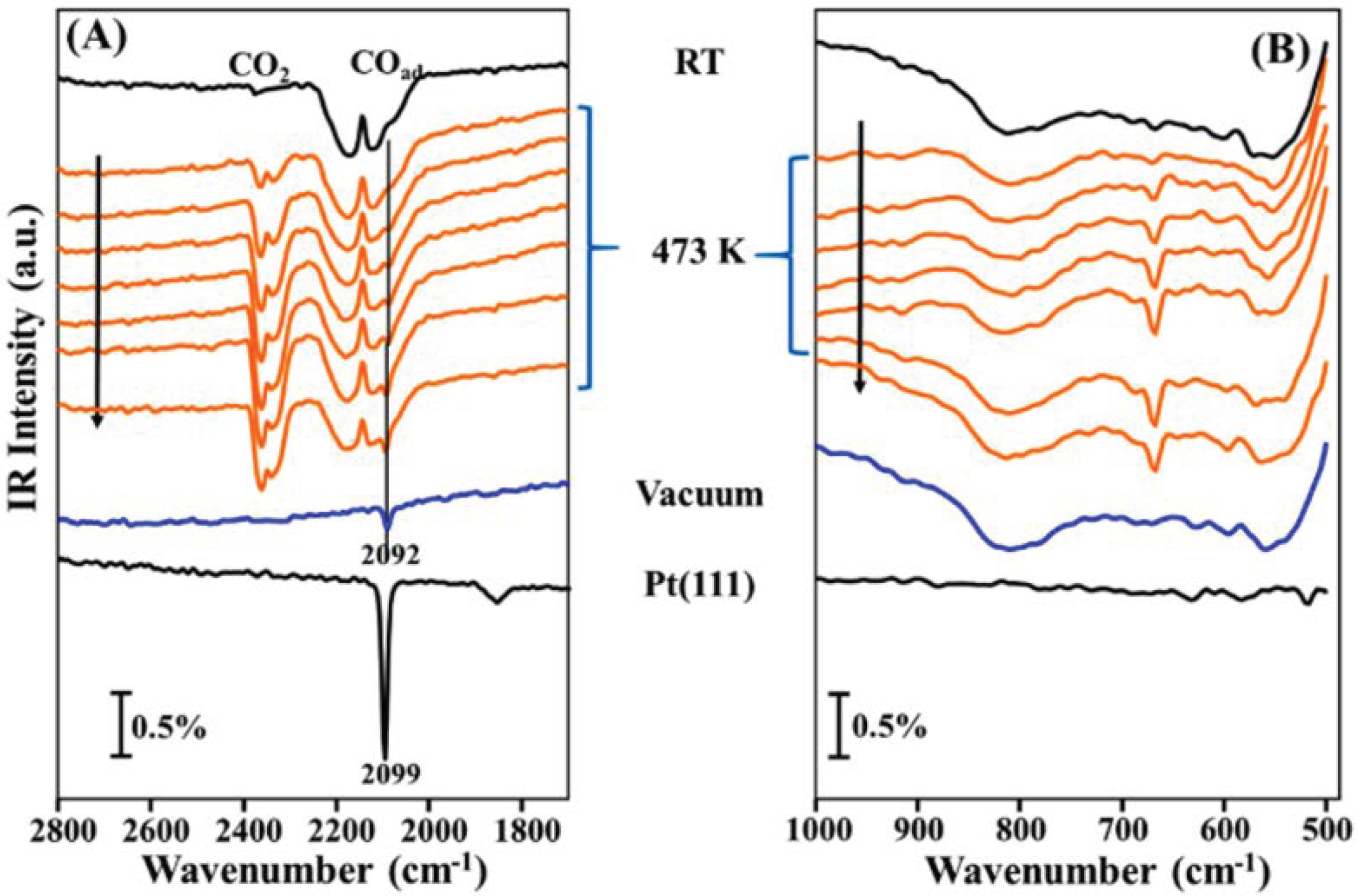 Catalysts 09 00477 g001