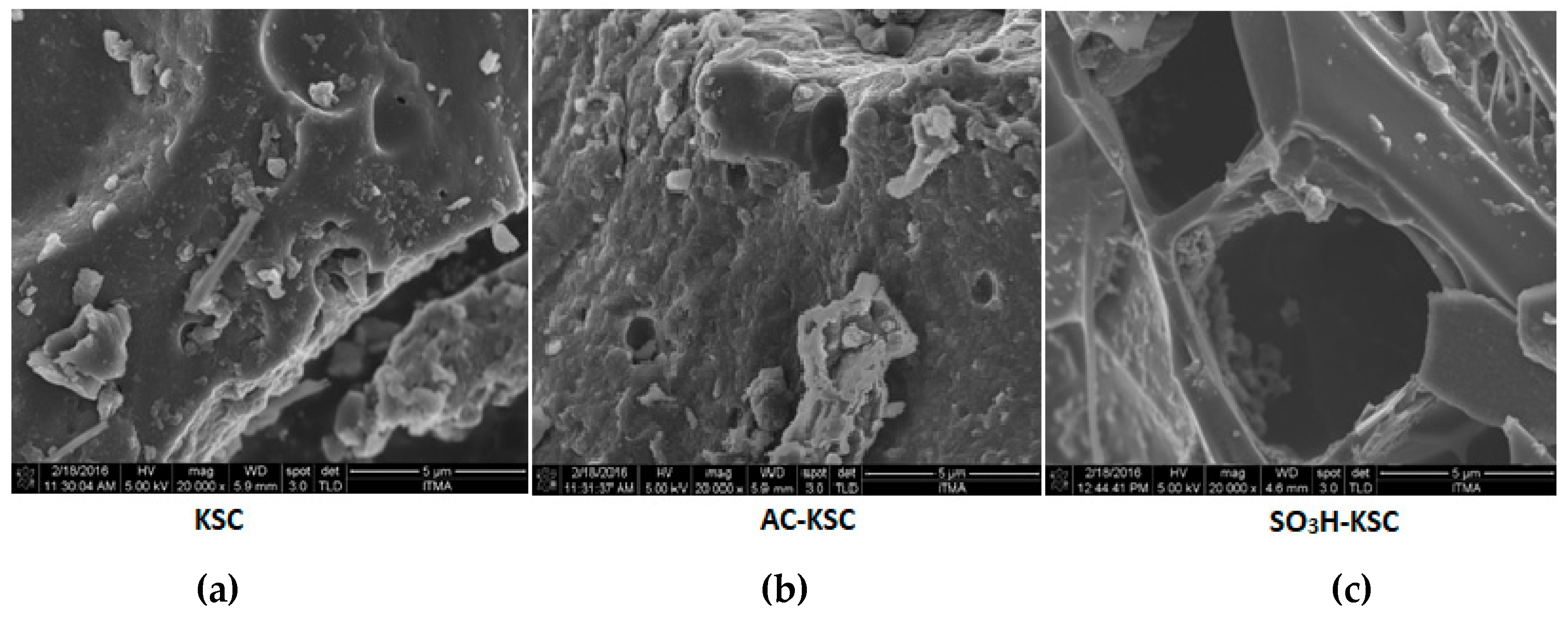 Catalysts 09 00482 g002 Catalysts 09 00482 g002