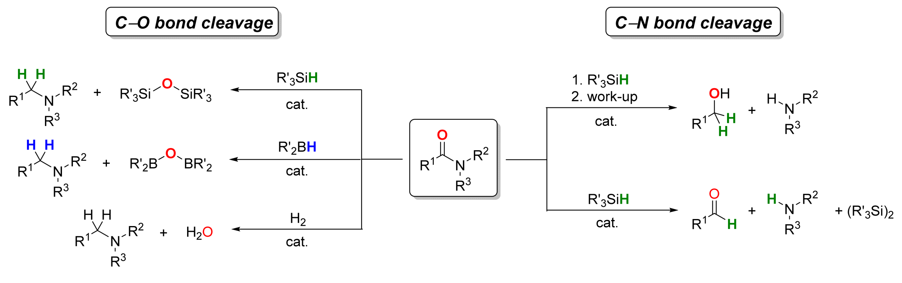 Catalysts 09 00490 sch001