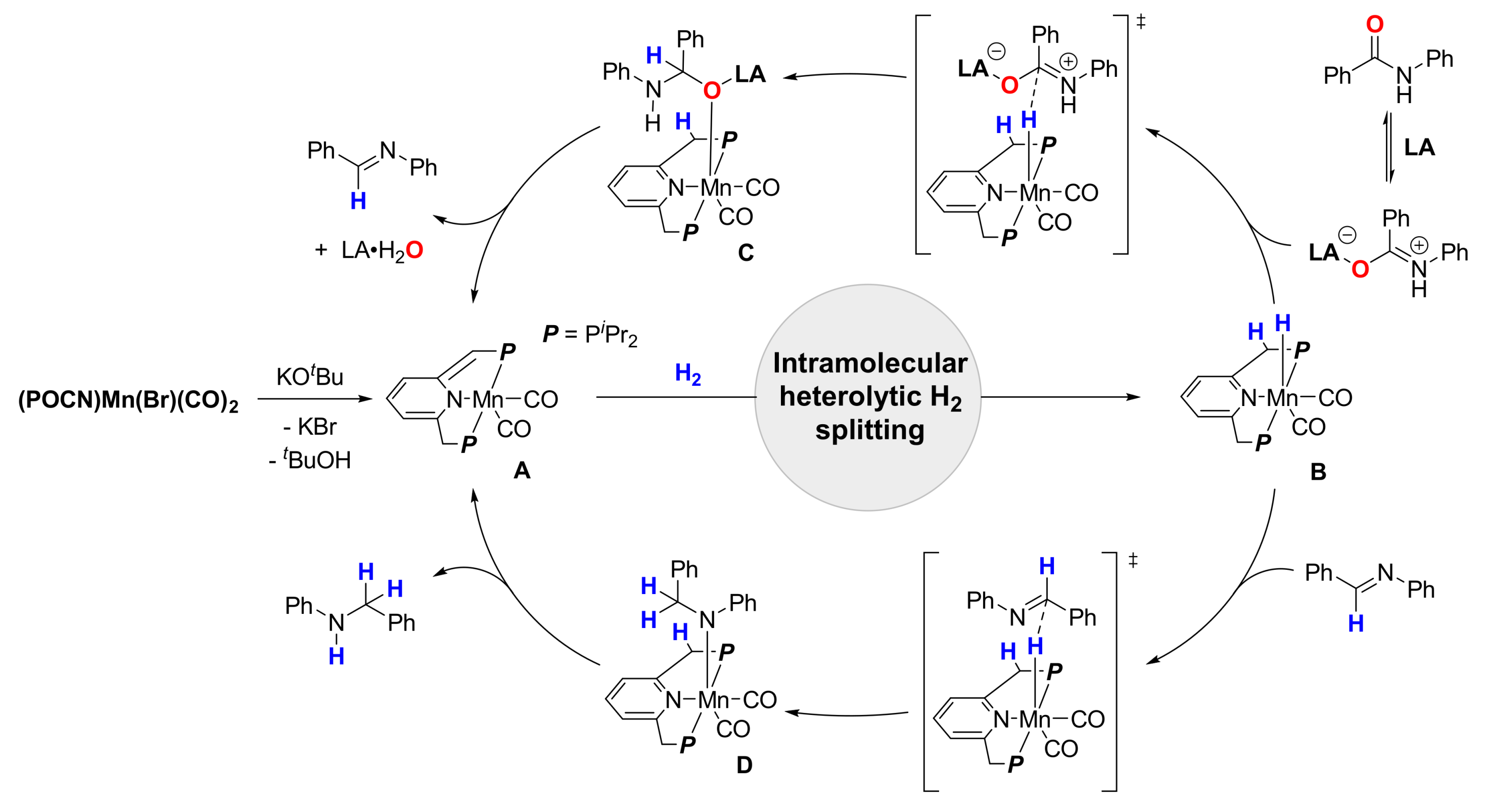 Catalysts 09 00490 sch032