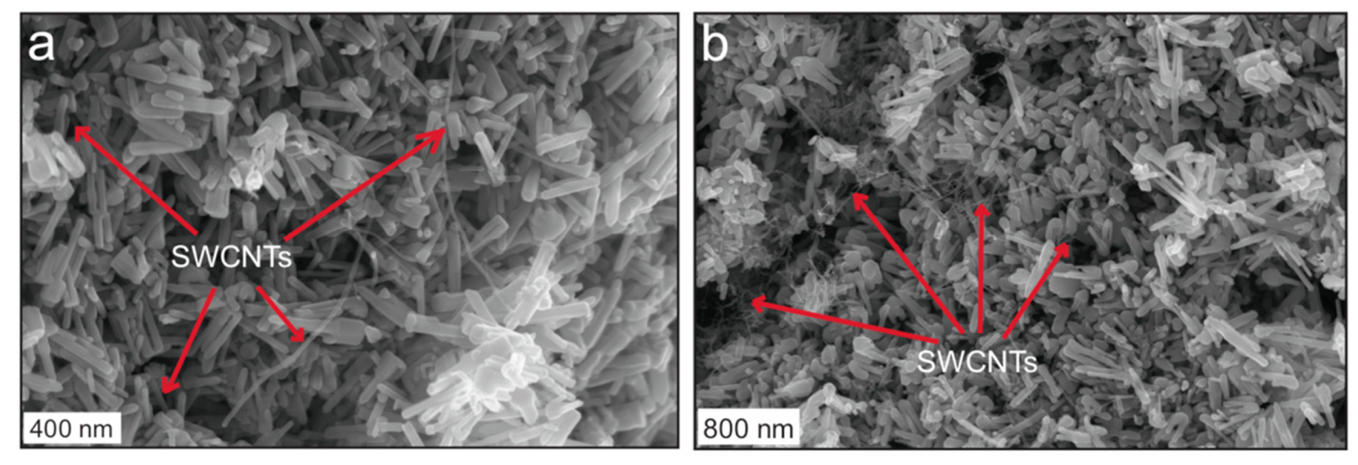Catalysts 09 00498 g001 Catalysts 09 00498 g001