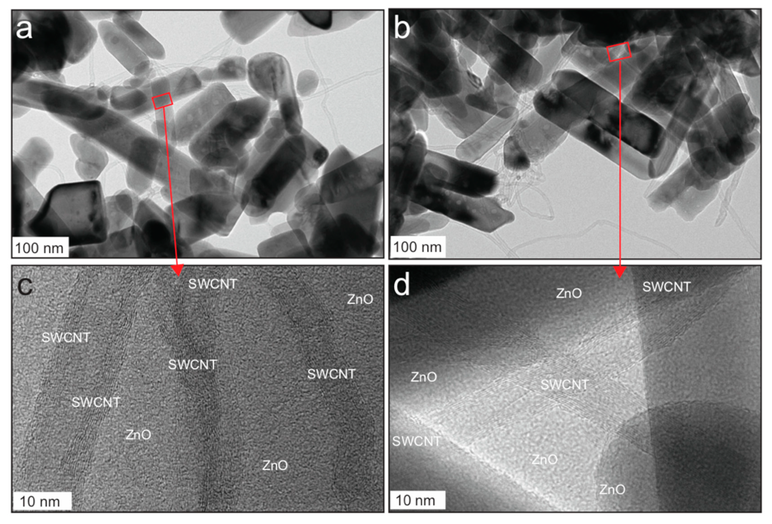 Catalysts 09 00498 g005 Catalysts 09 00498 g005
