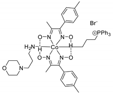 Catalysts 09 00511 i023