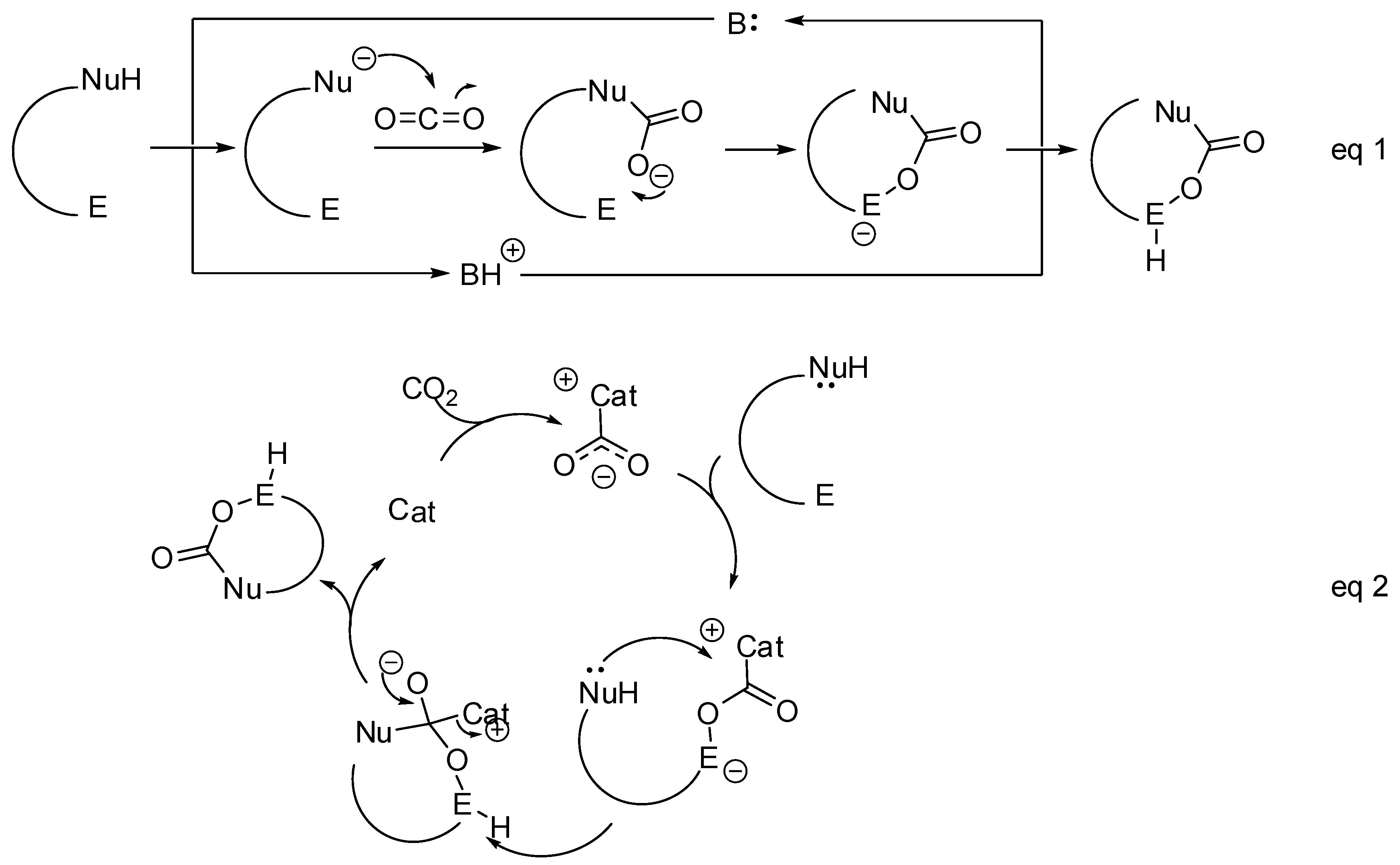 Catalysts 09 00511 sch001