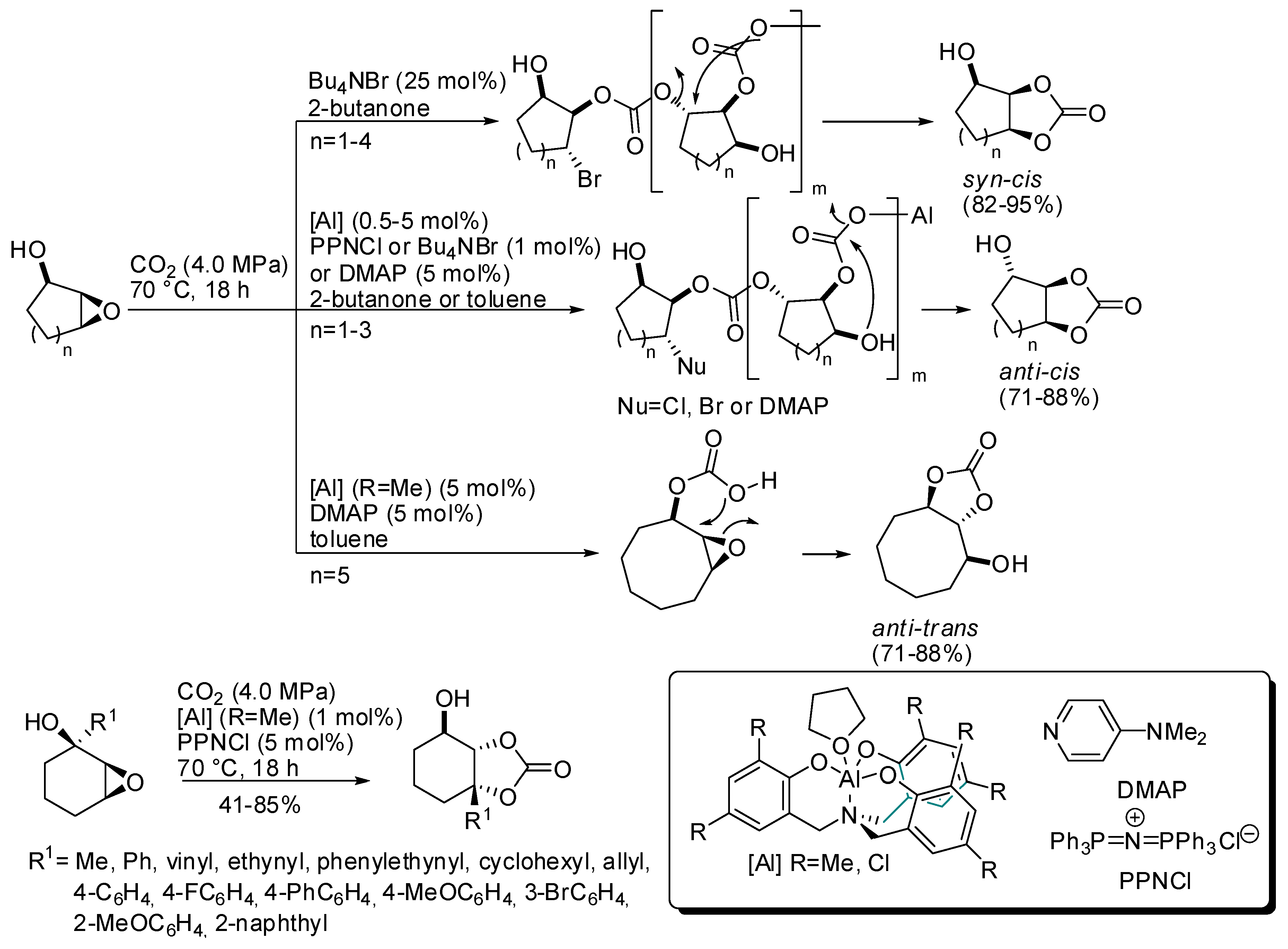 Catalysts 09 00511 sch004