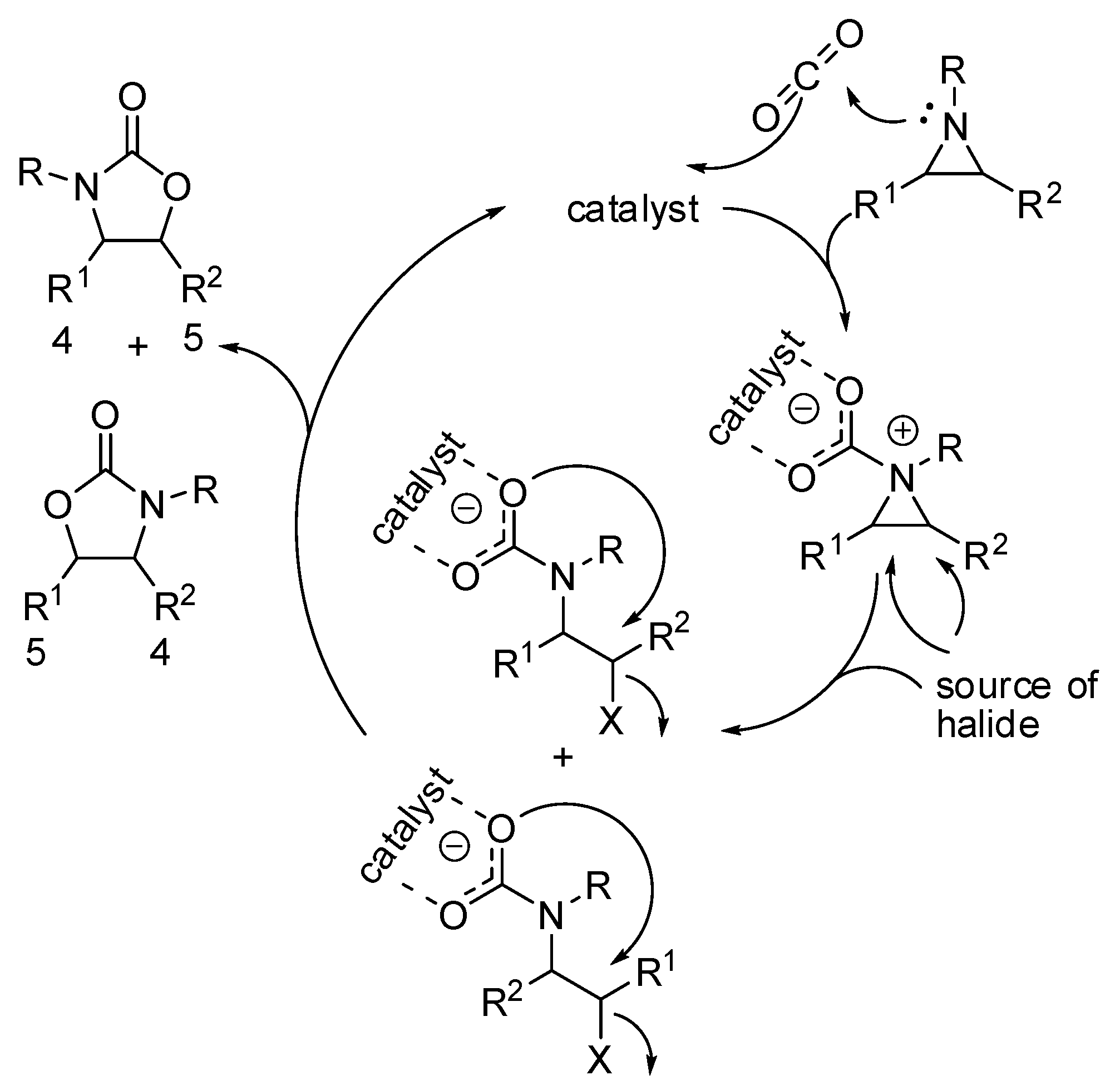Catalysts 09 00511 sch013