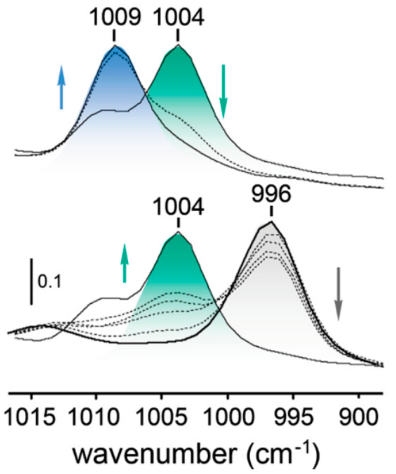 Catalysts 09 00512 g017