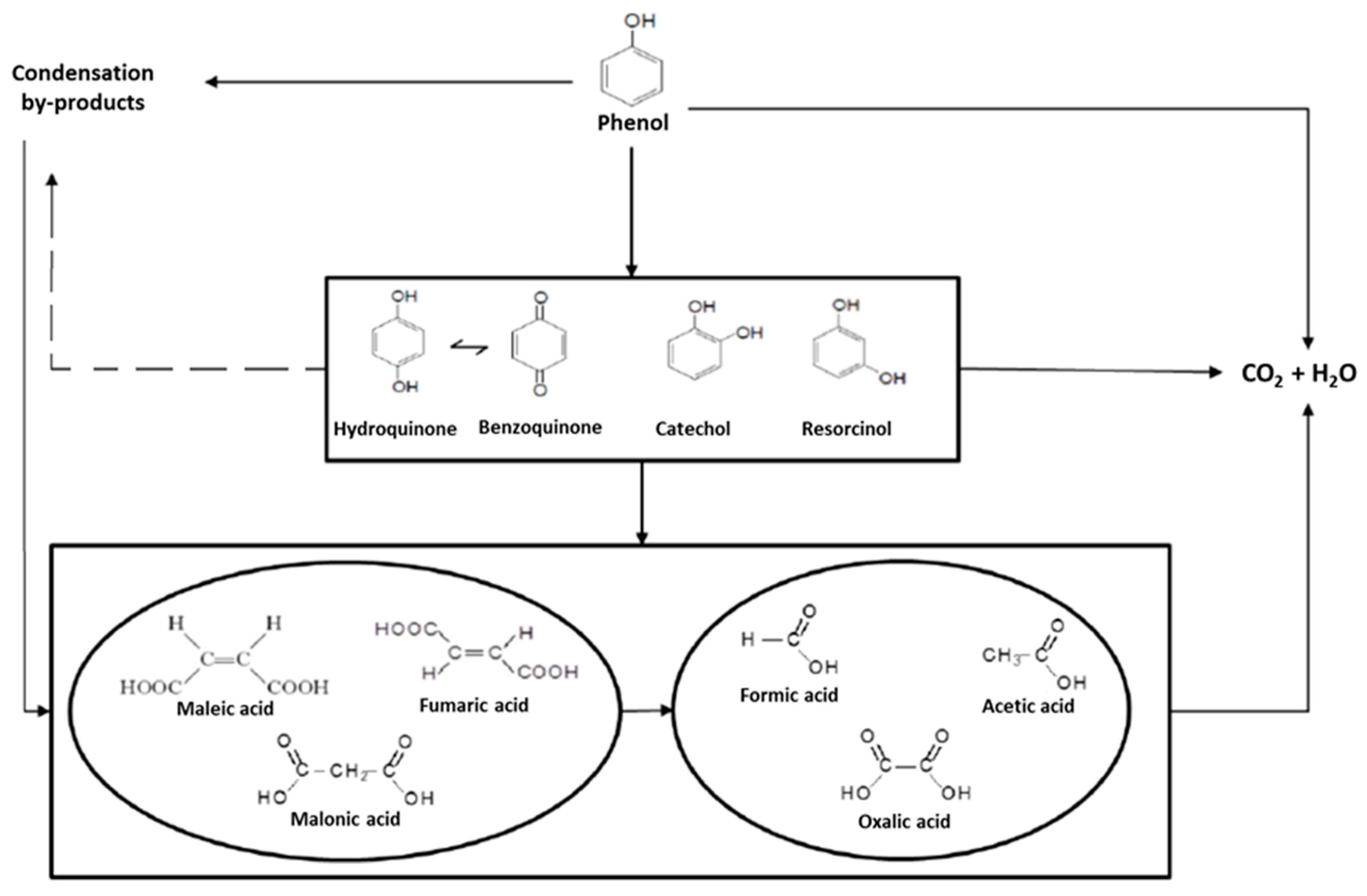 Catalysts 09 00516 g005