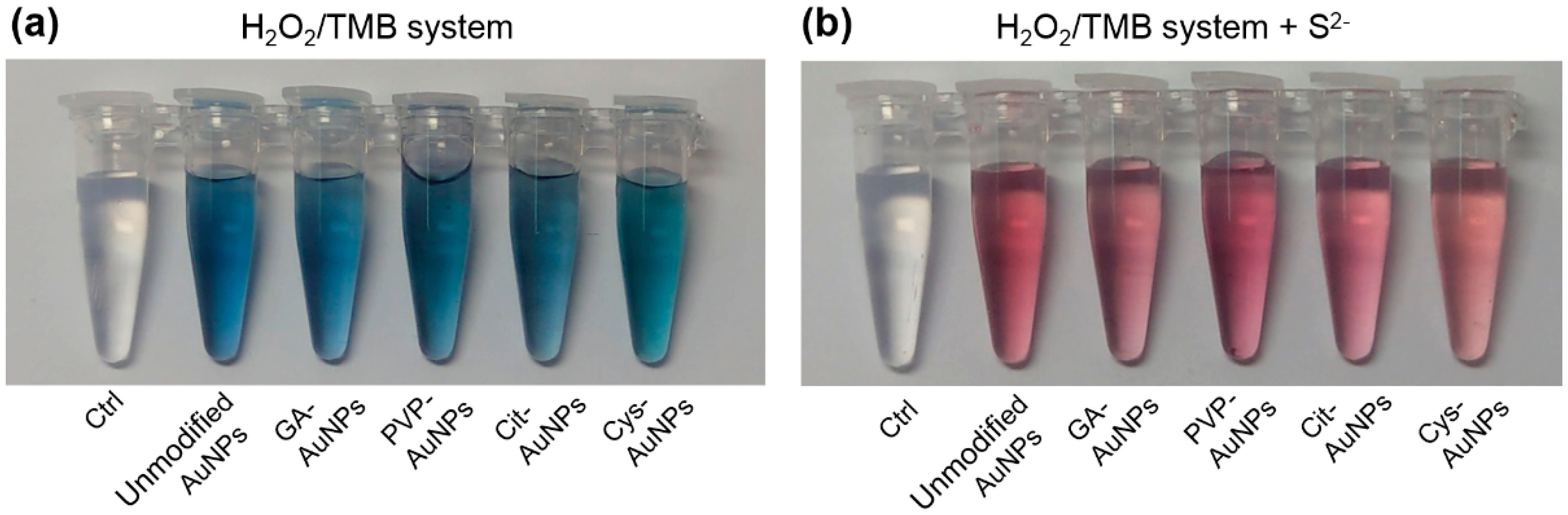 Catalysts 09 00517 g002