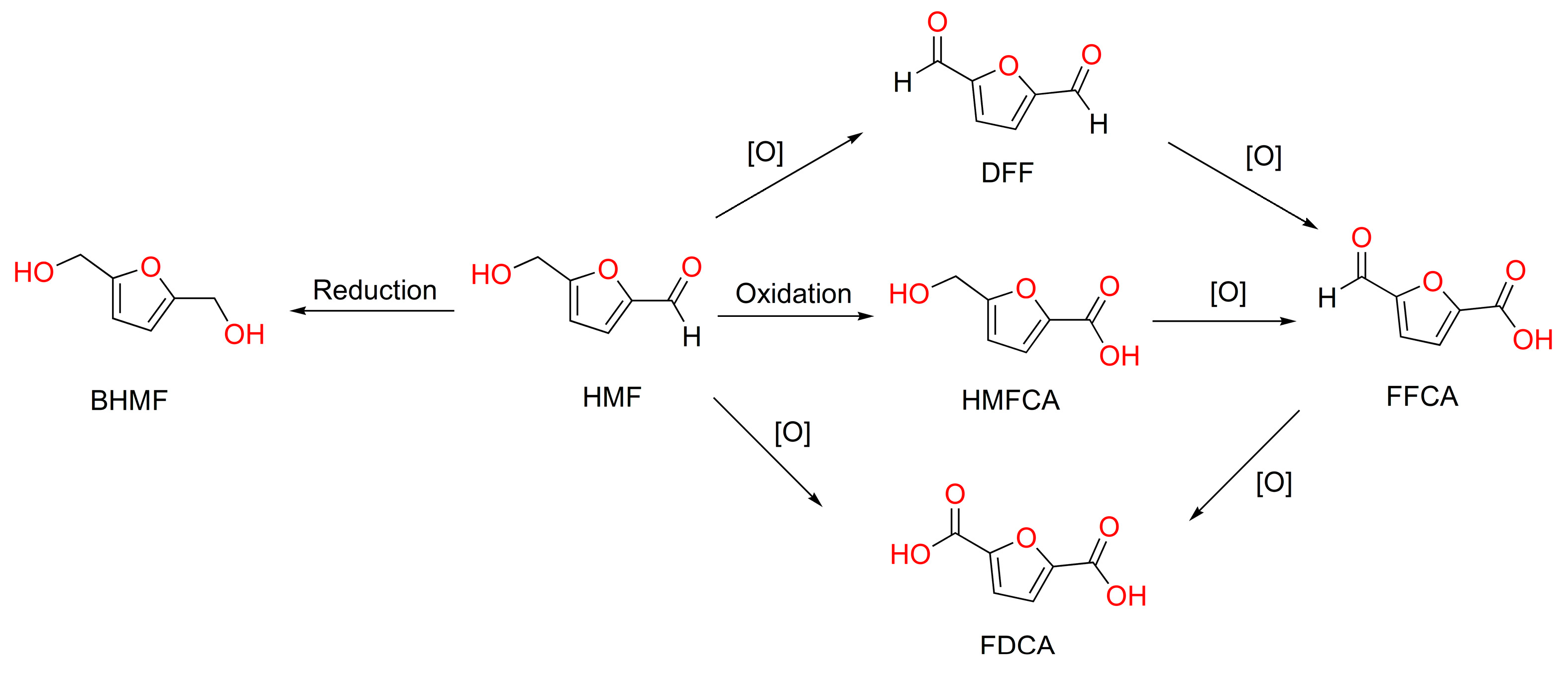 Catalysts 09 00526 sch001