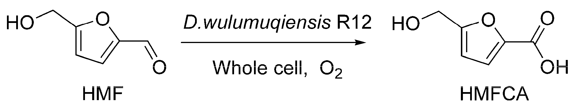Catalysts 09 00526 sch002