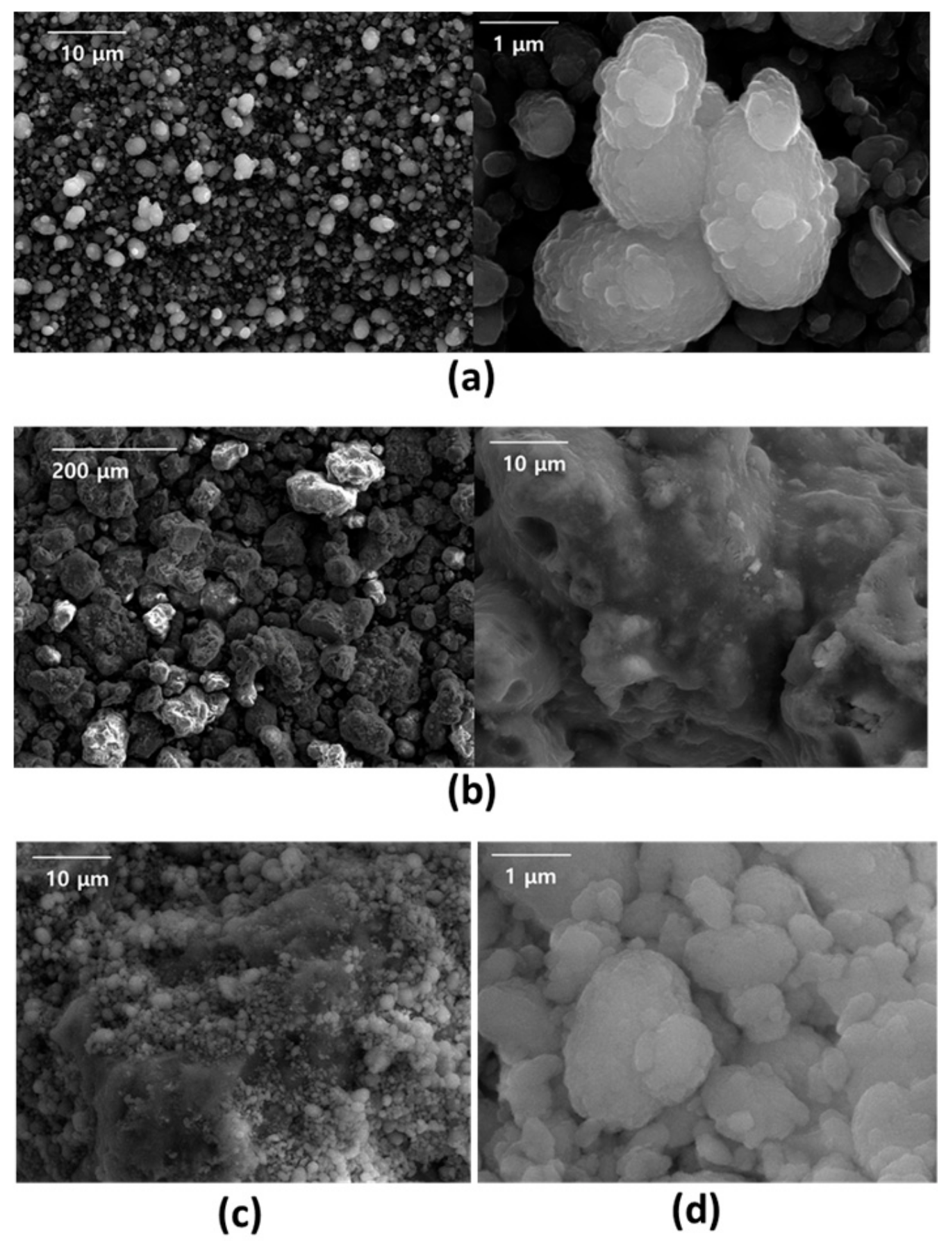 Catalysts 09 00531 g002