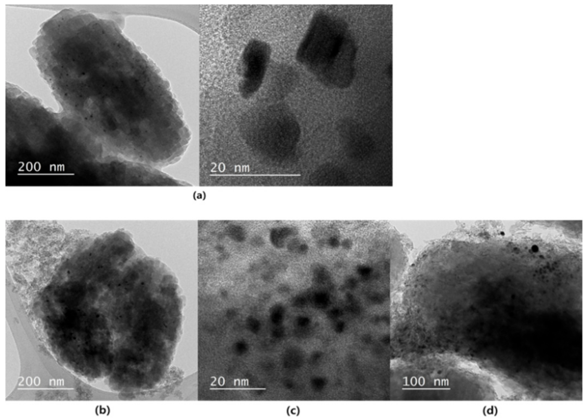 Catalysts 09 00531 g003