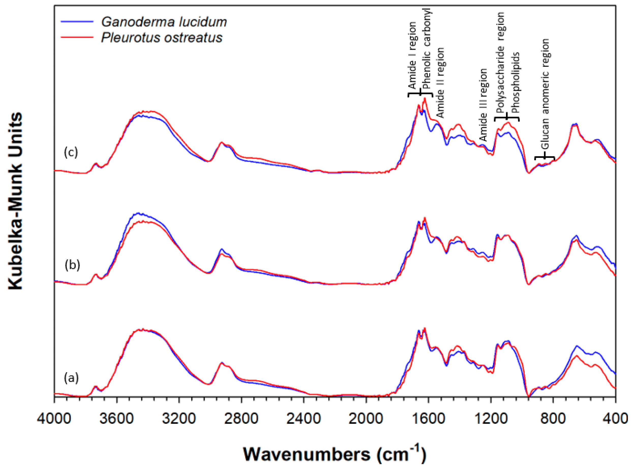 Catalysts 09 00537 g003