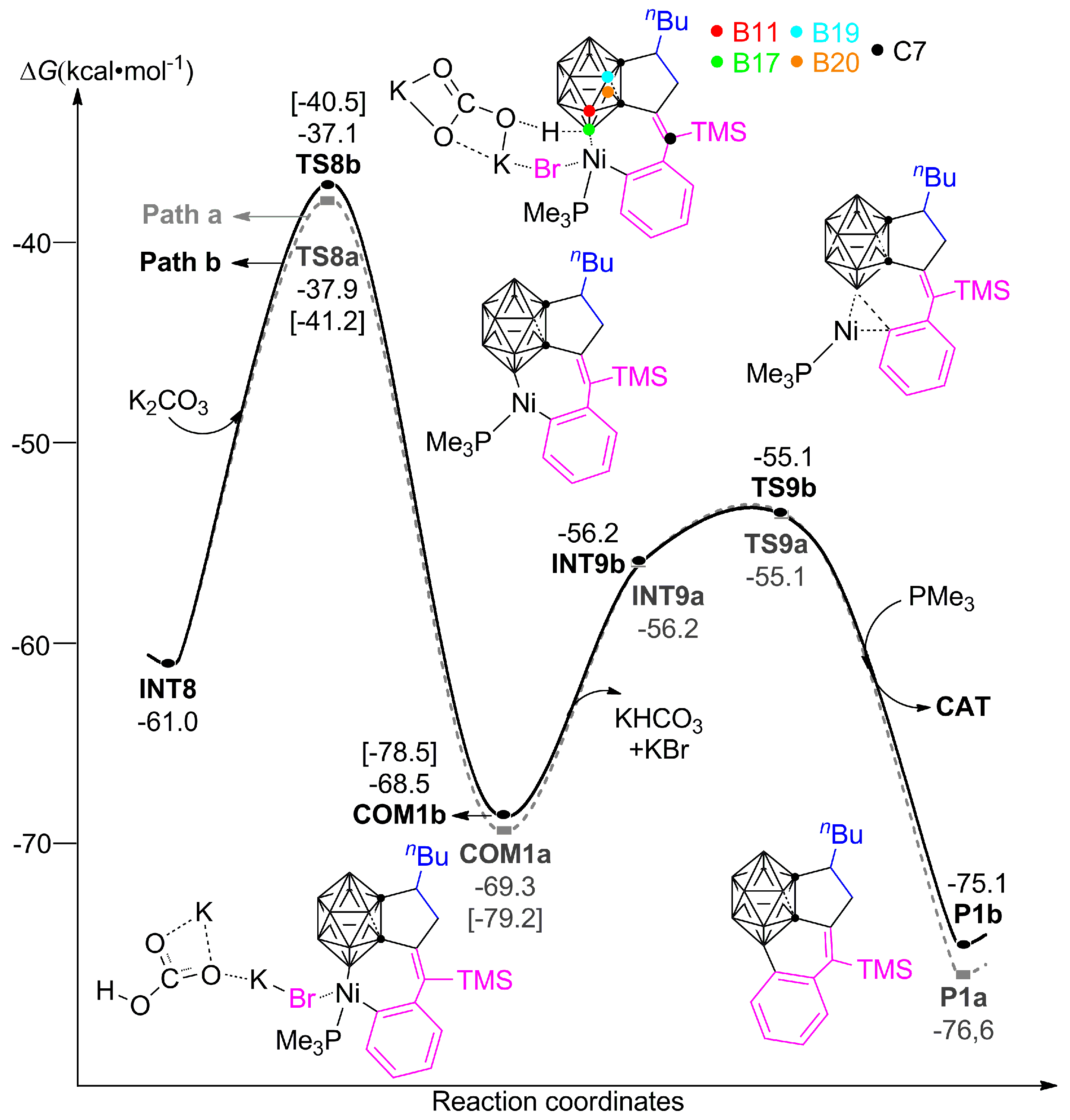 Catalysts 09 00548 g006