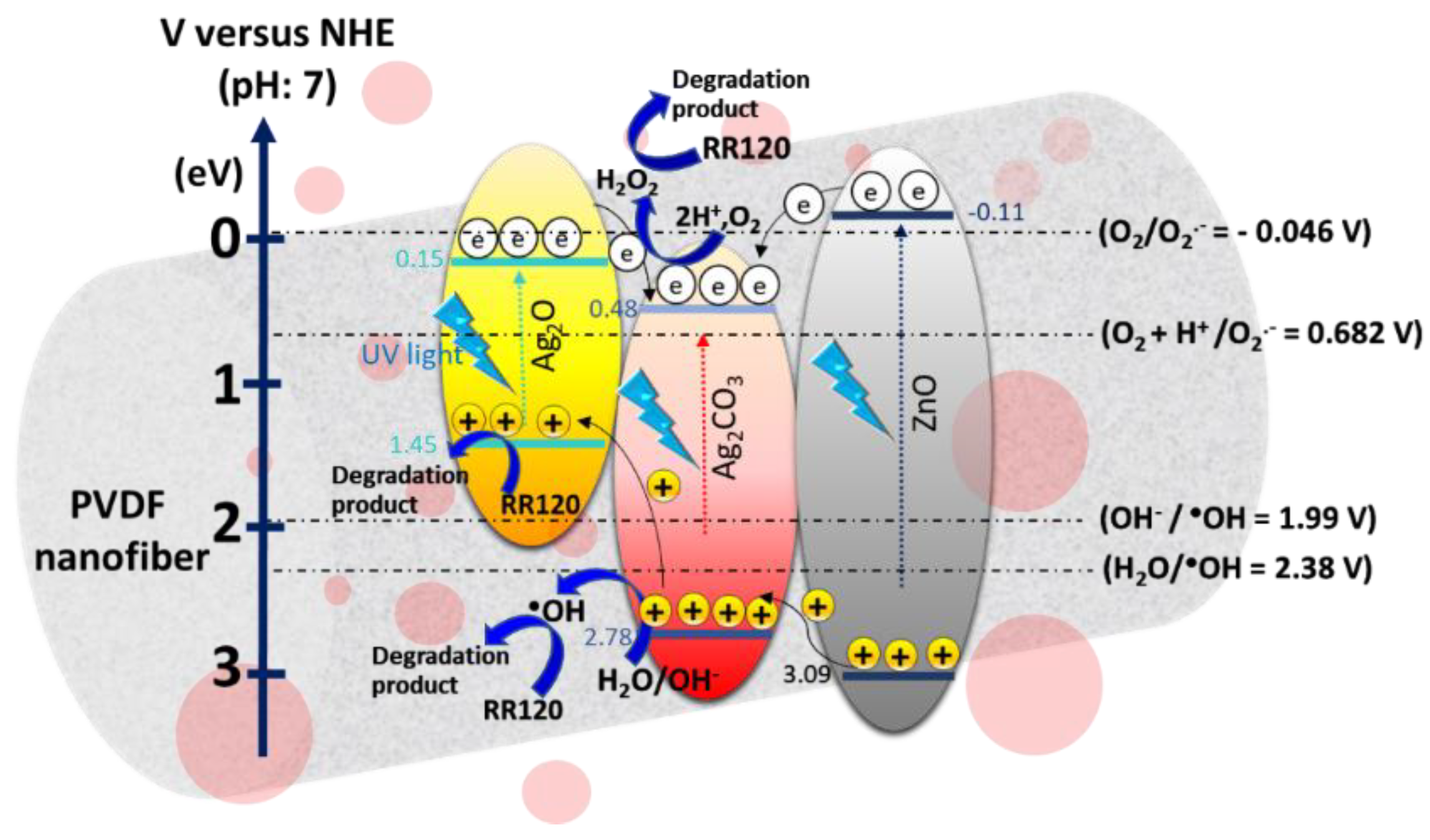Catalysts 09 00565 g009