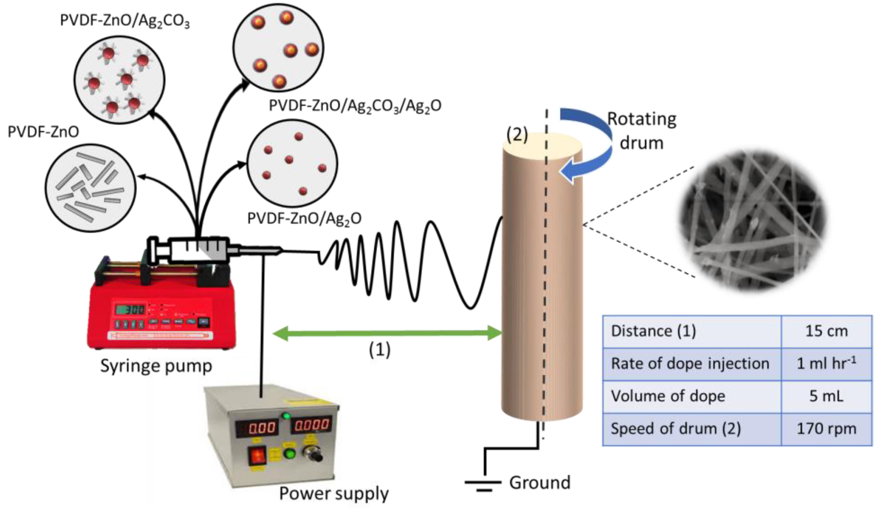 Catalysts 09 00565 g010