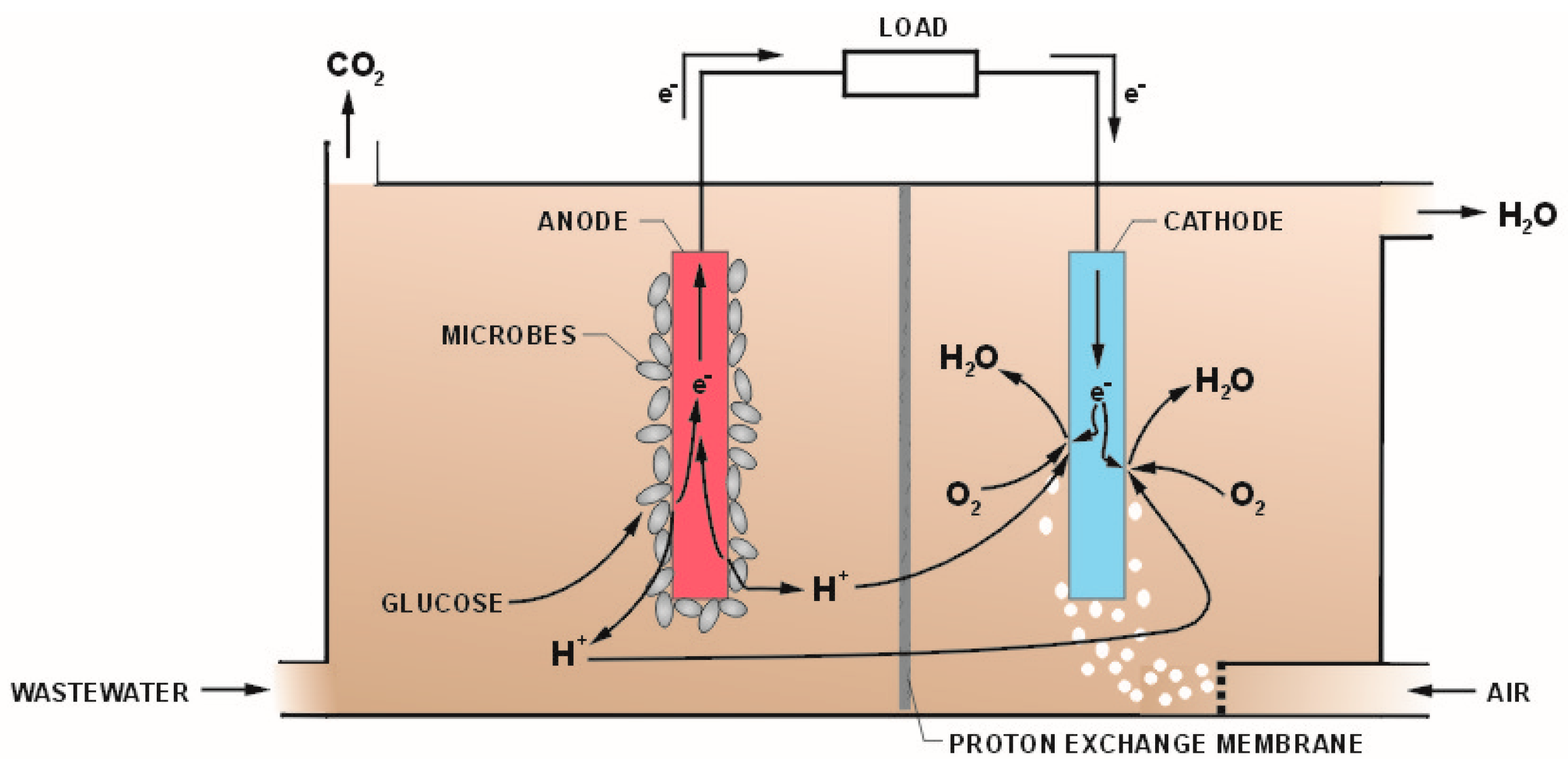 Catalysts 09 00572 g001
