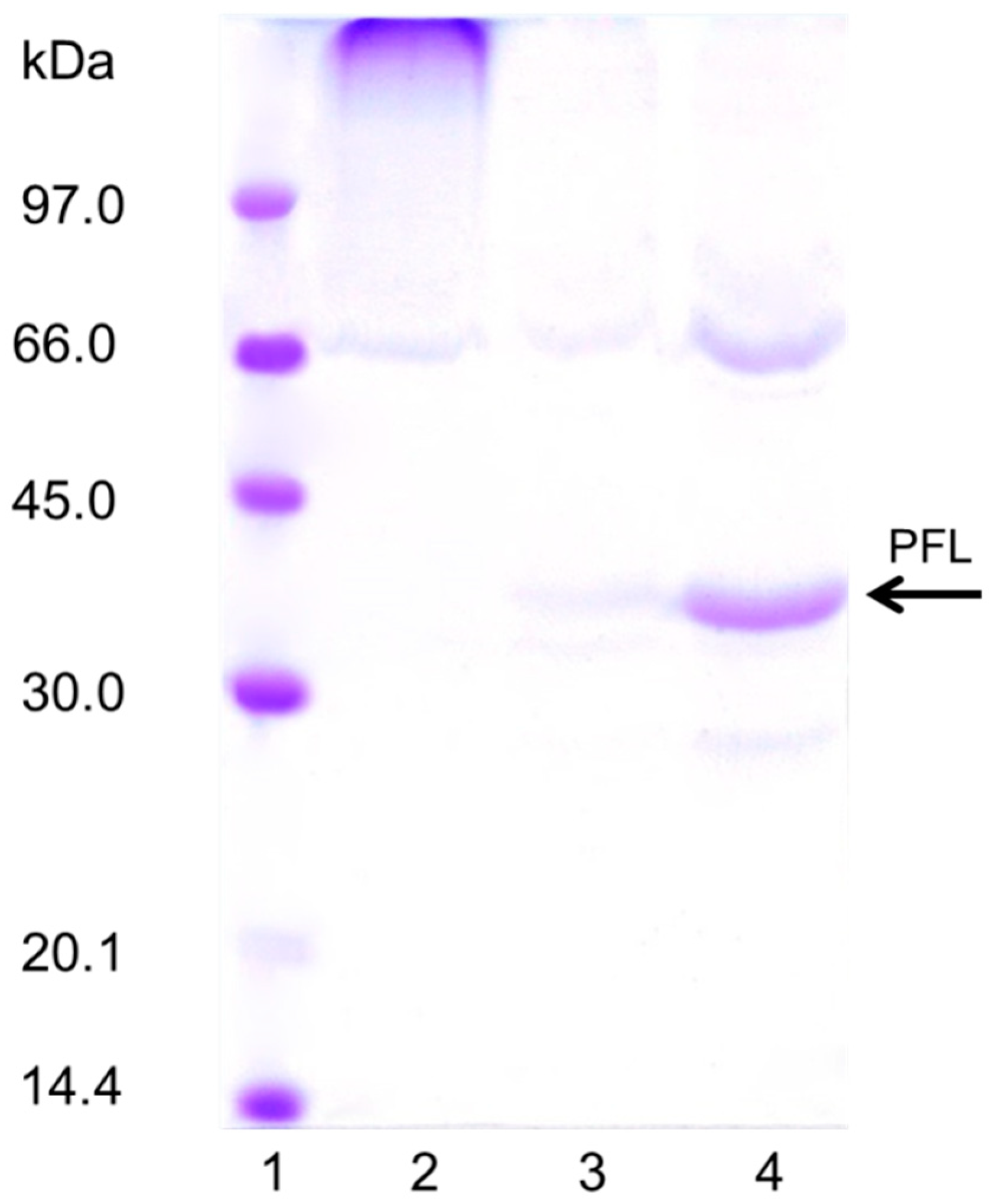 Catalysts 09 00576 g006