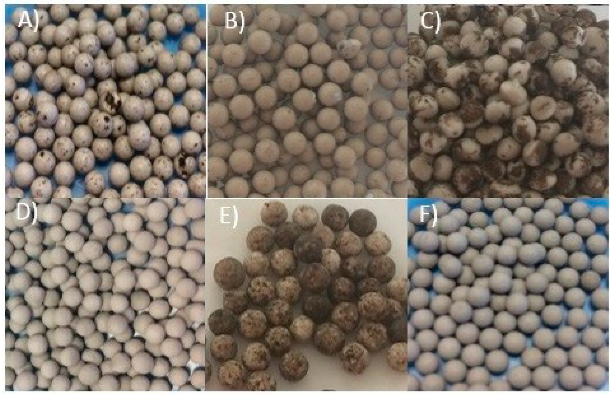 Catalysts 09 00577 g001