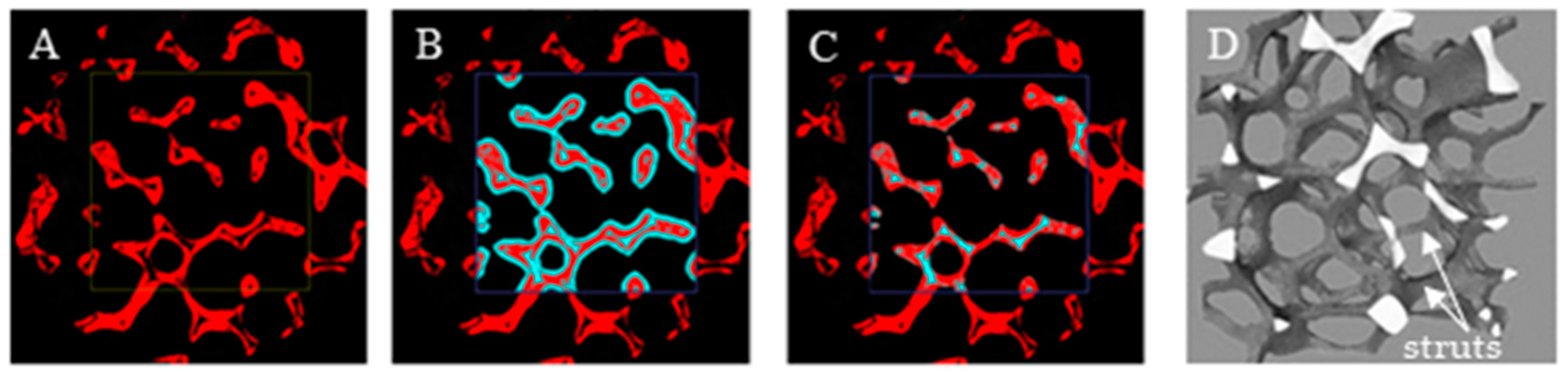 Catalysts 09 00587 g007