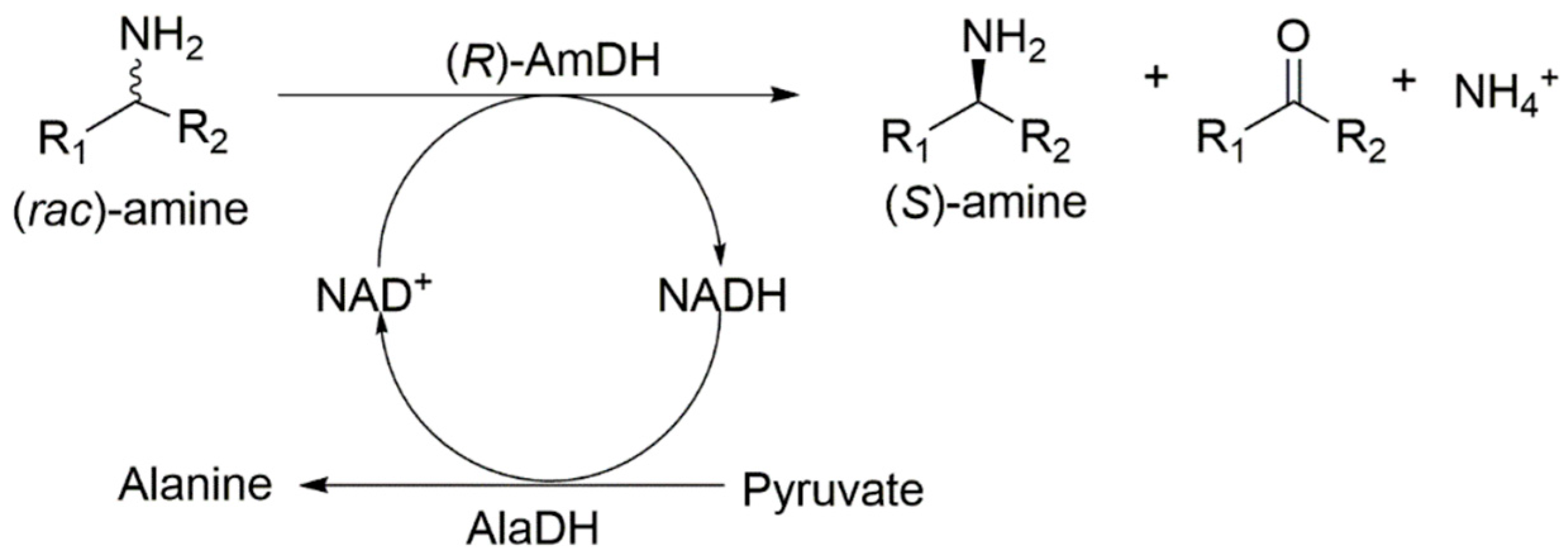 Catalysts 09 00600 g001