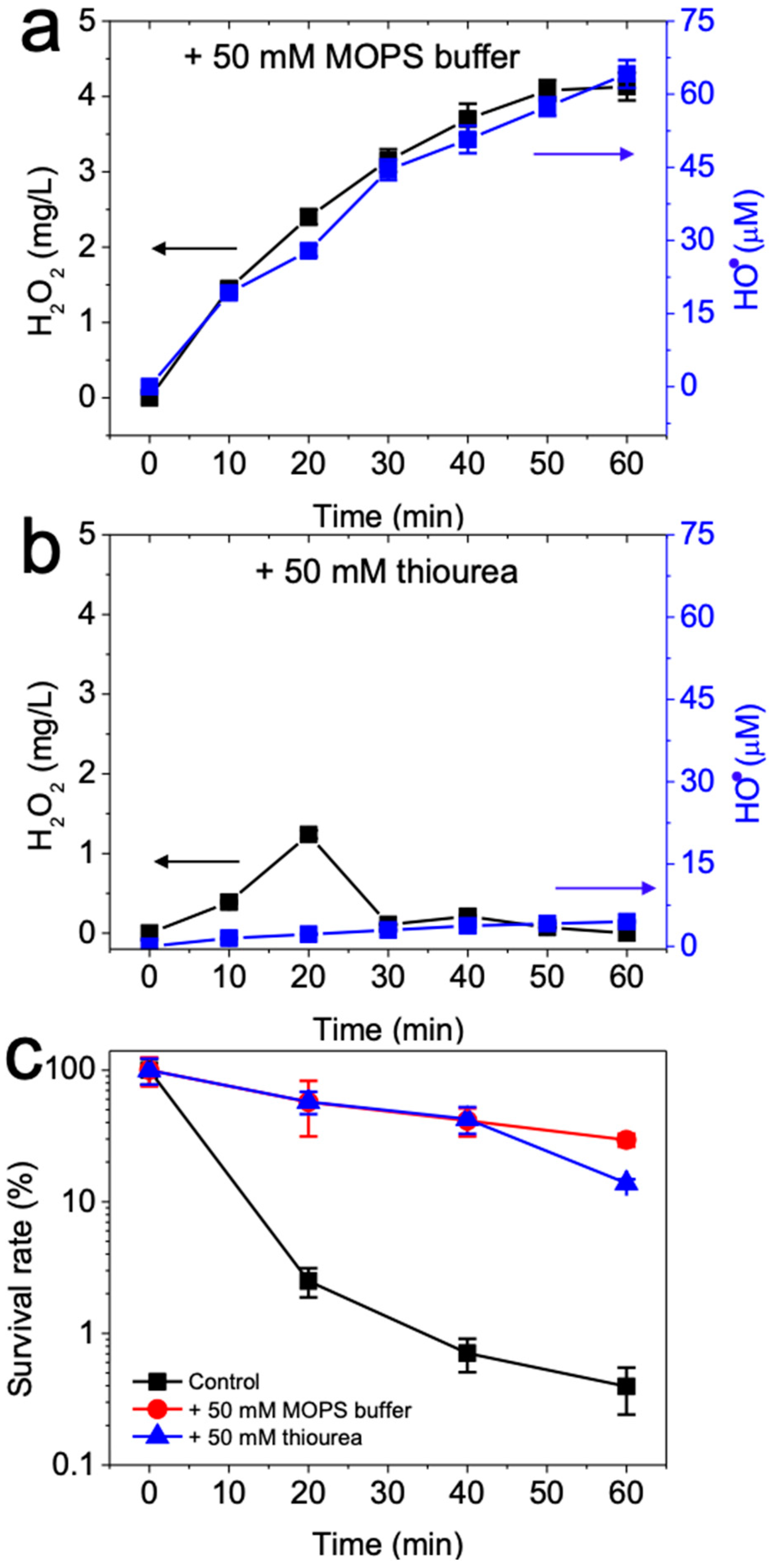 Catalysts 09 00601 g003 Catalysts 09 00601 g003