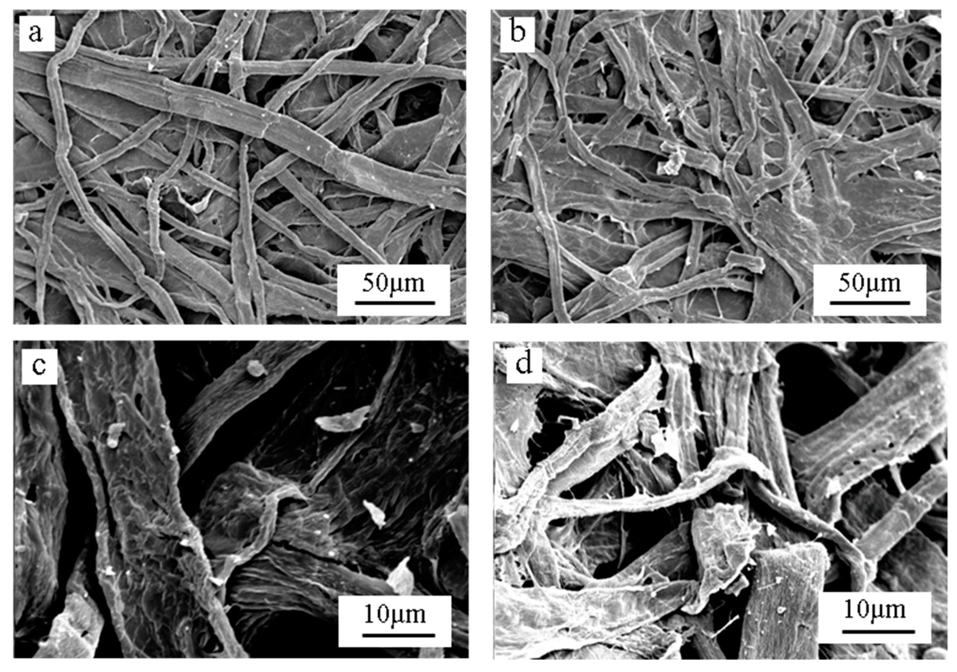 Catalysts 09 00609 g001