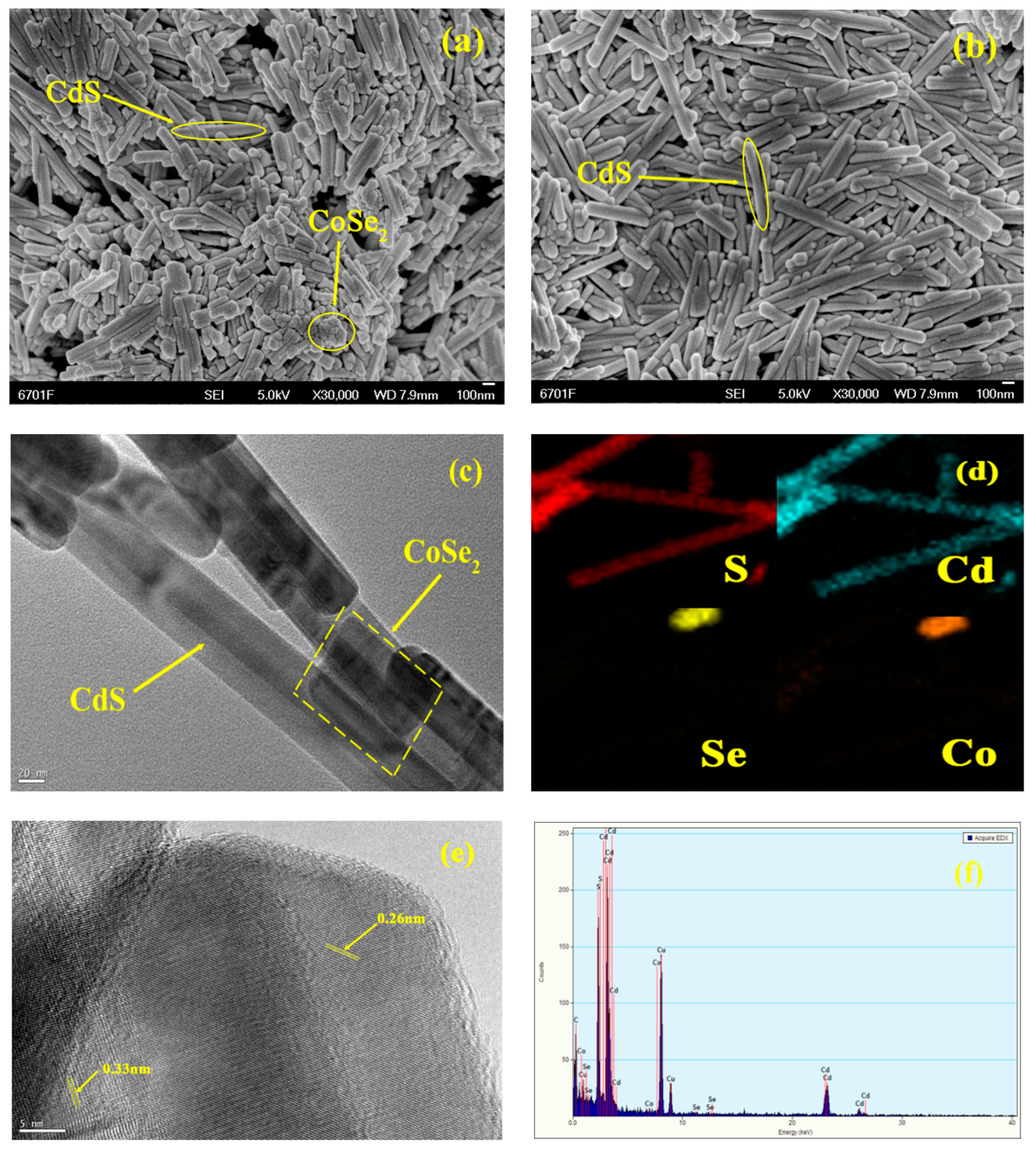 Catalysts 09 00616 g001