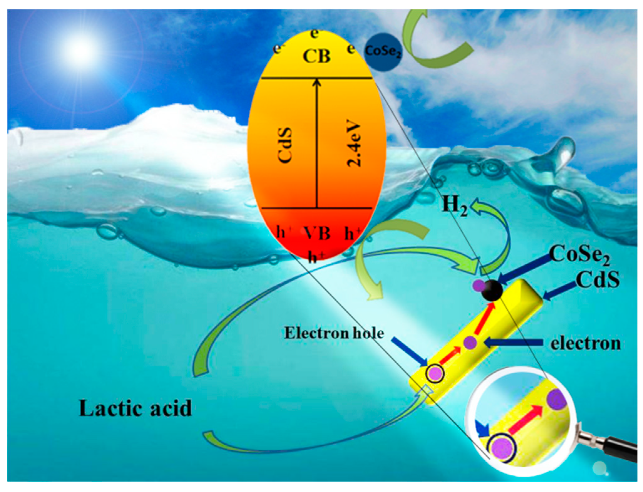 Catalysts 09 00616 g009