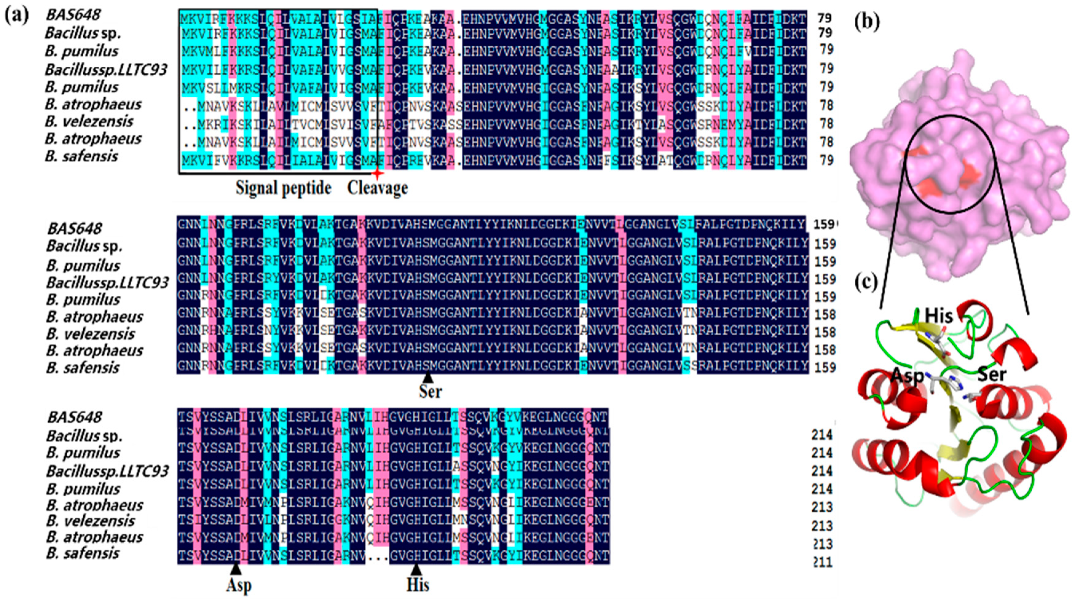 Catalysts 09 00620 g001